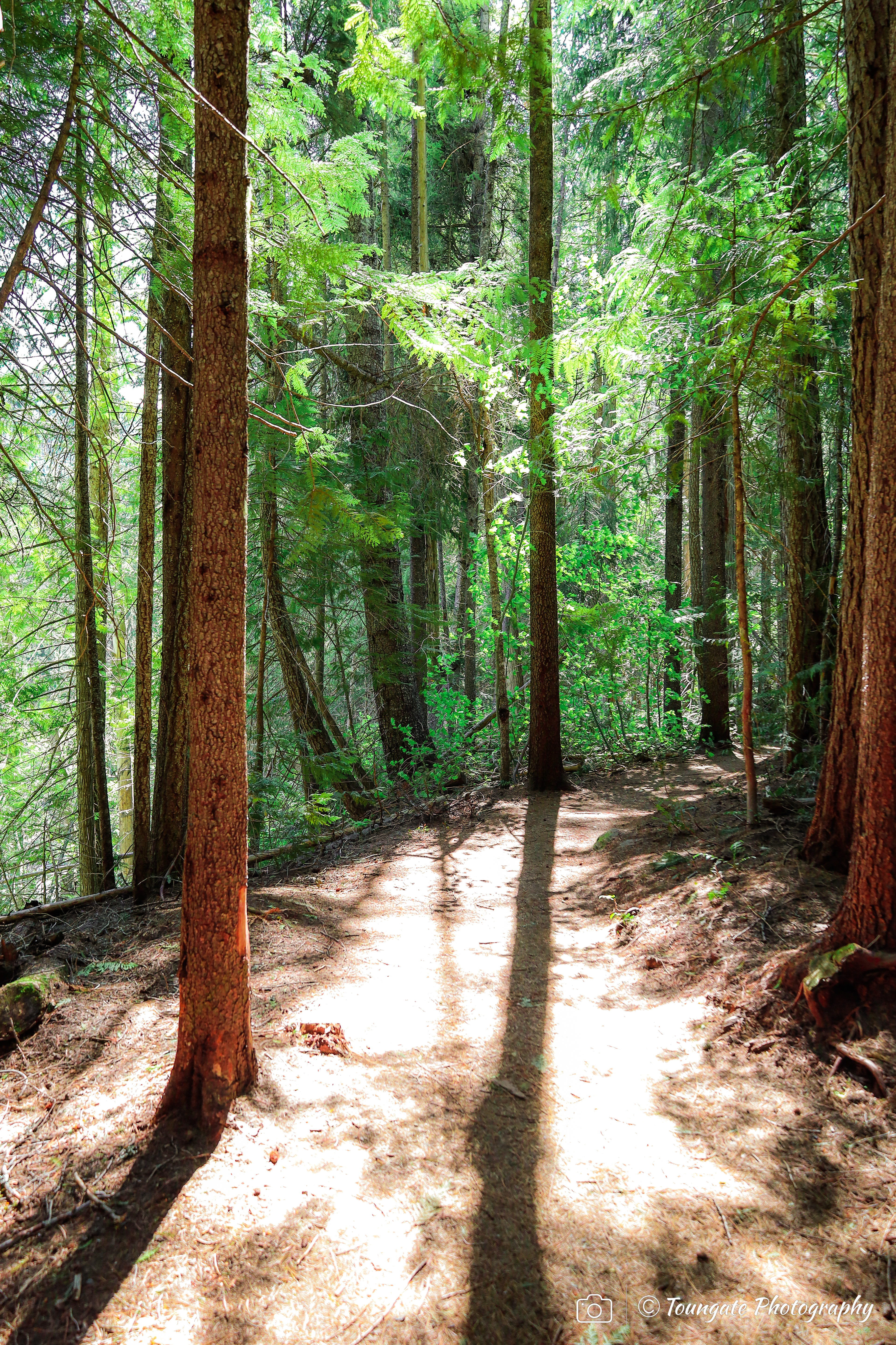 Icicle Gorge Trail