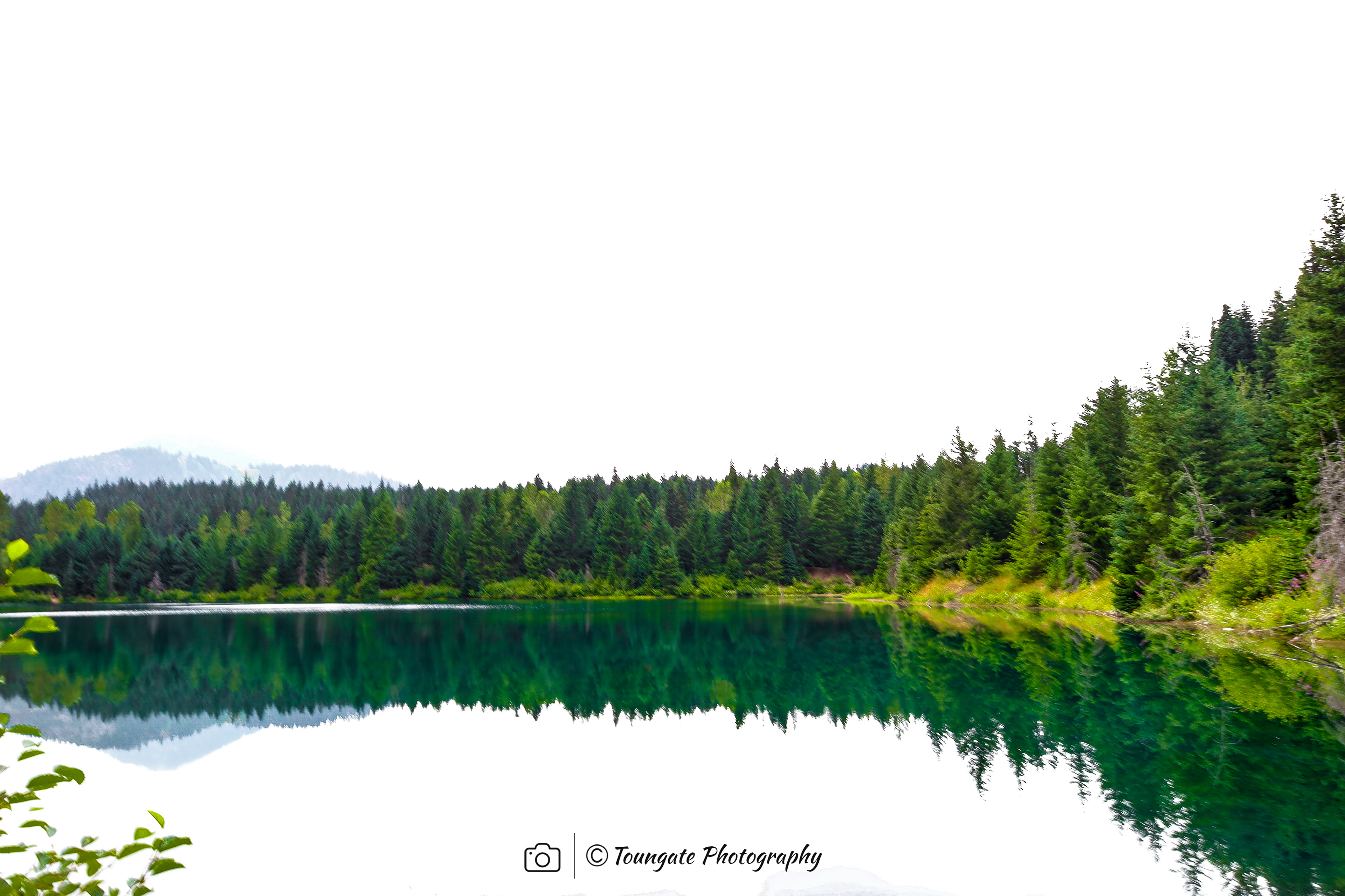 Gold Creek Pond