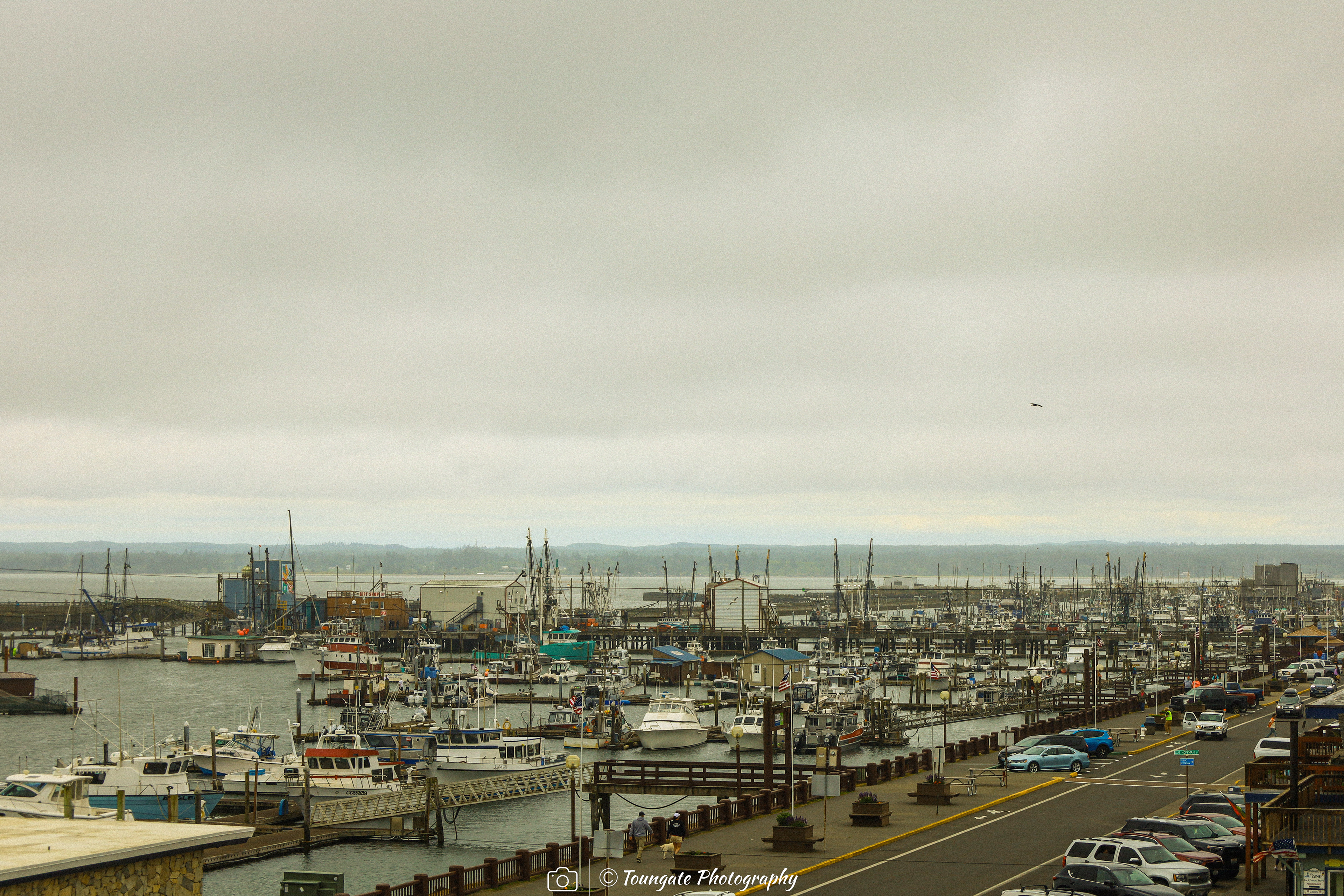 Westport Marina