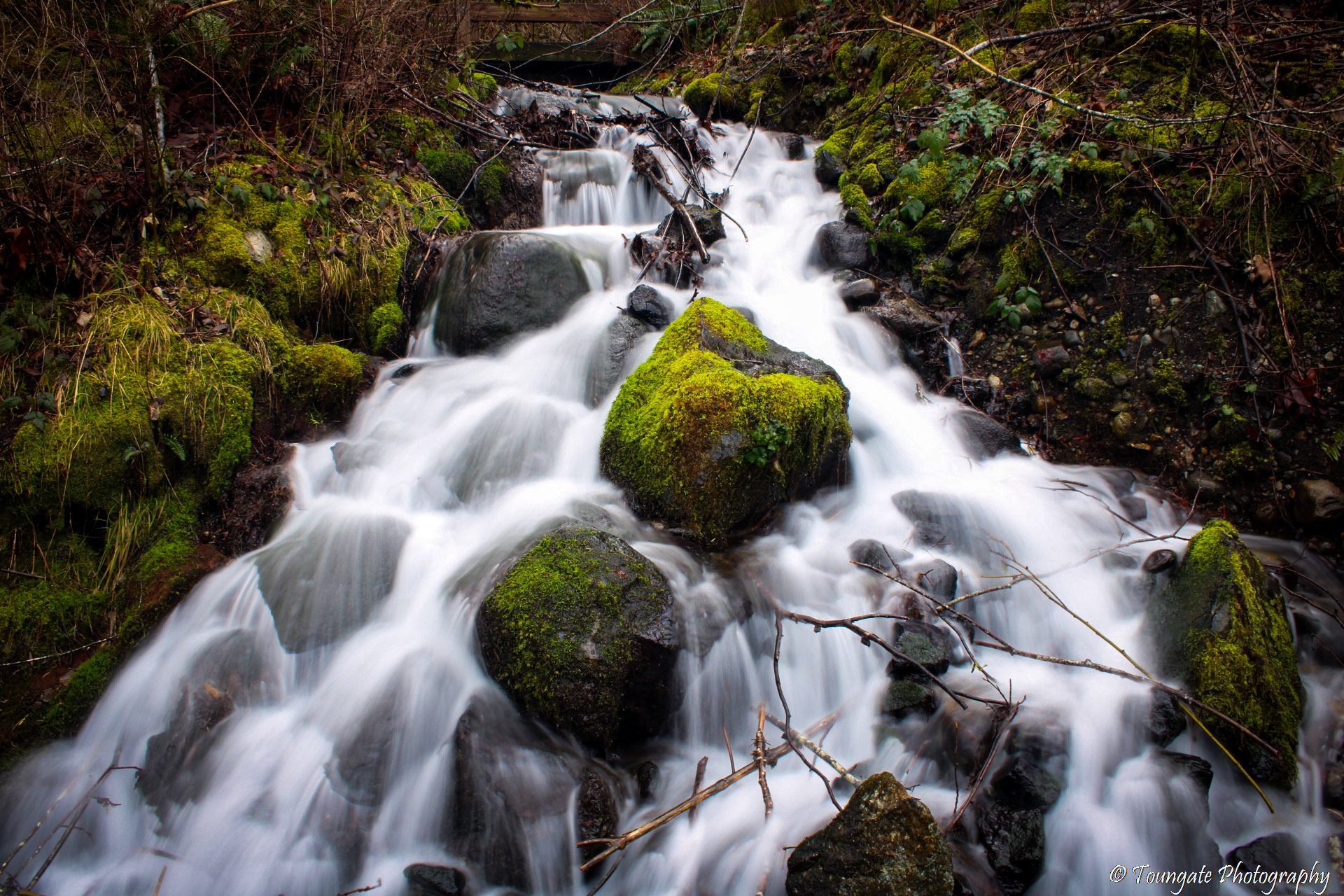 Near Rattlesnake Lake