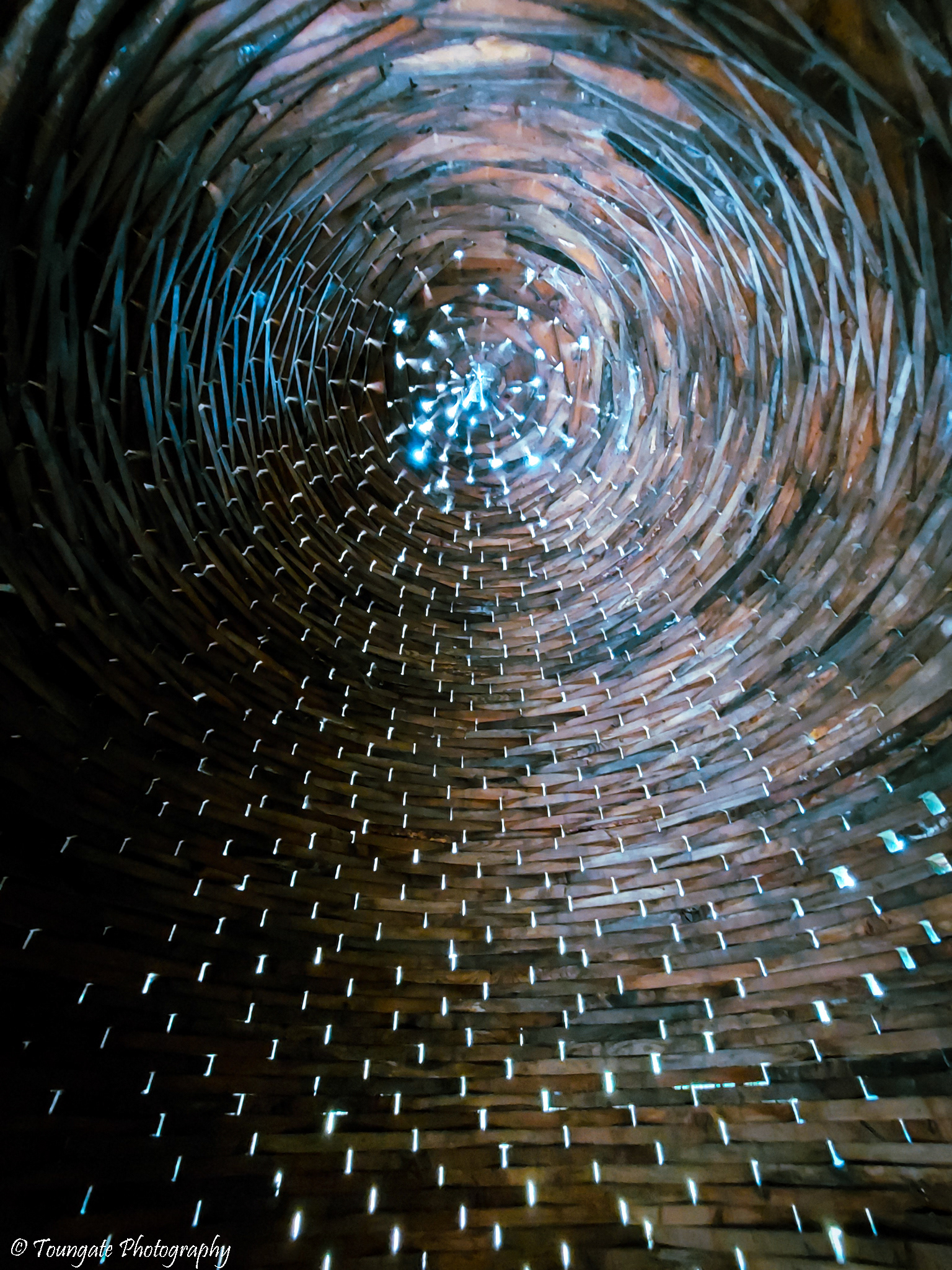 Inside a Warming Hut at Bellevue Botanical Gardens