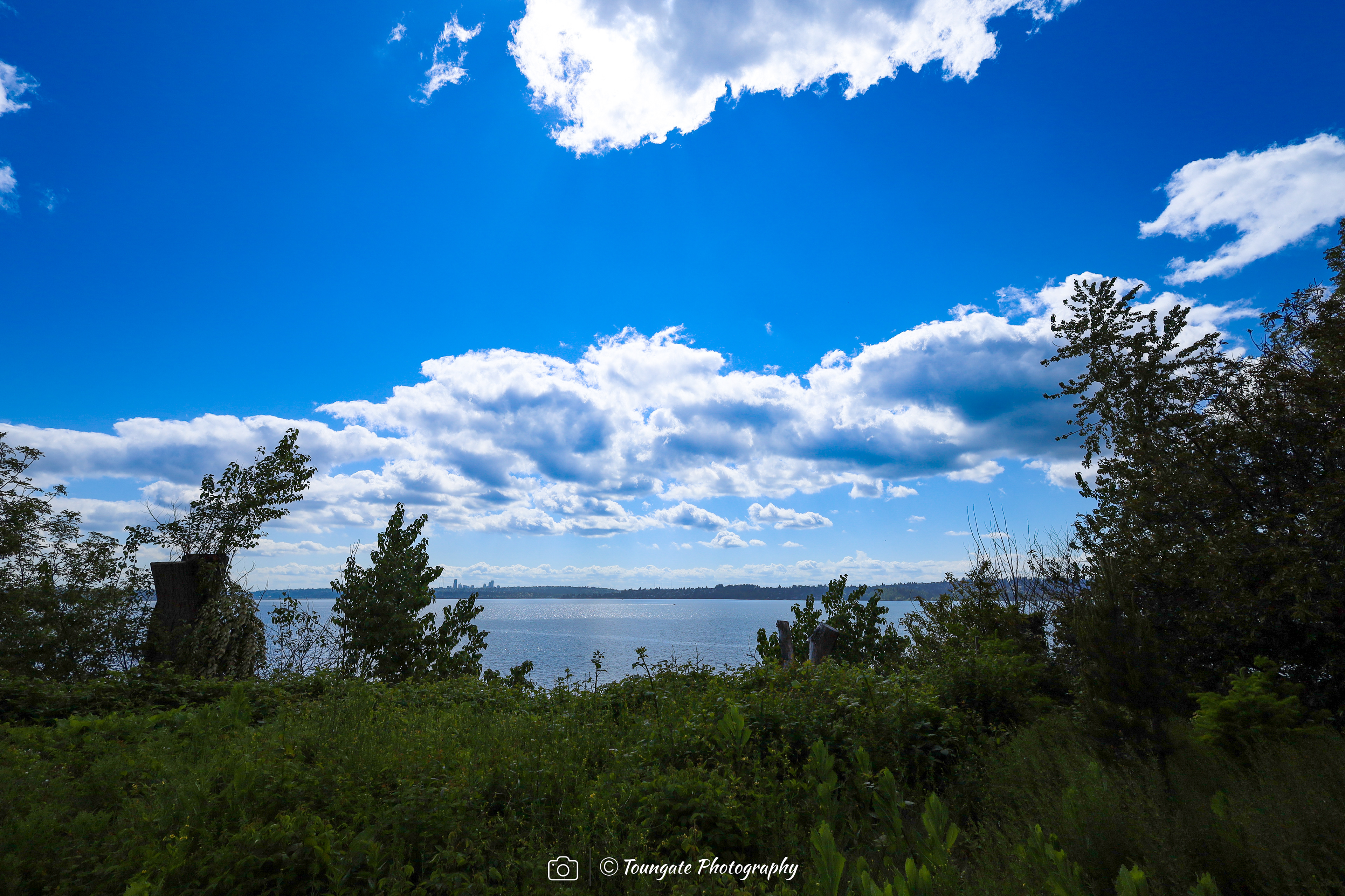 Lake Washington