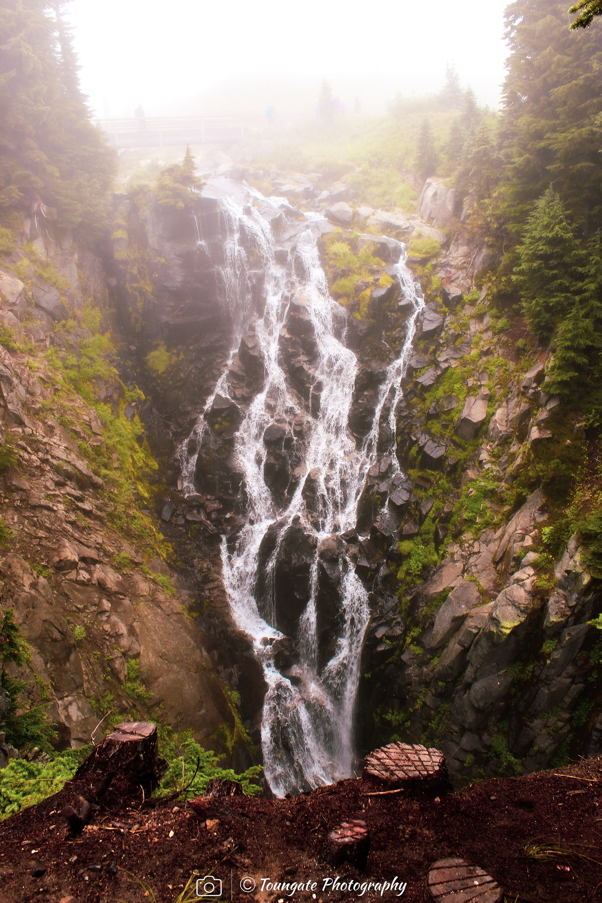 Myrtle Falls