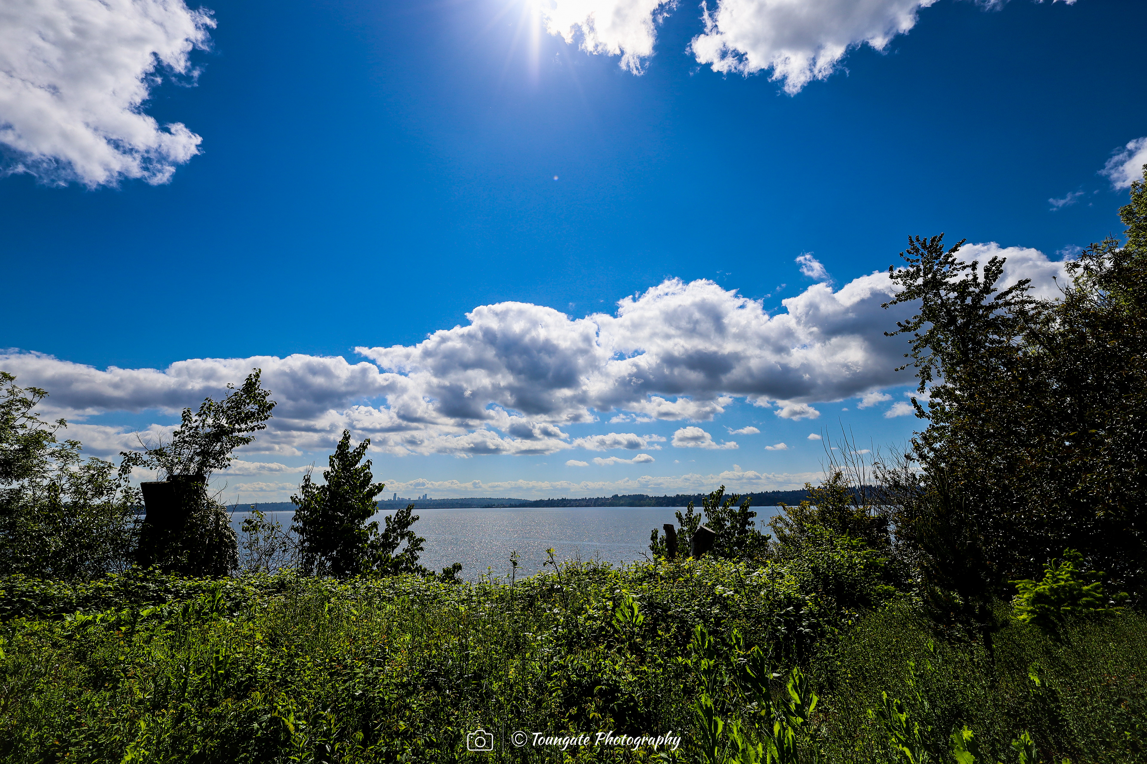 Lake Washington