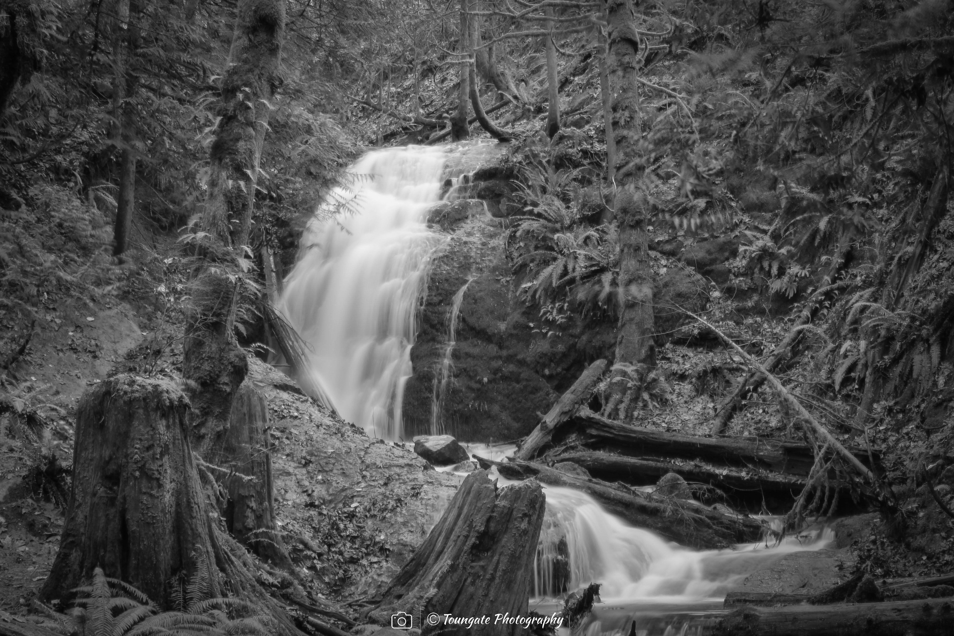 Coal Creek Falls