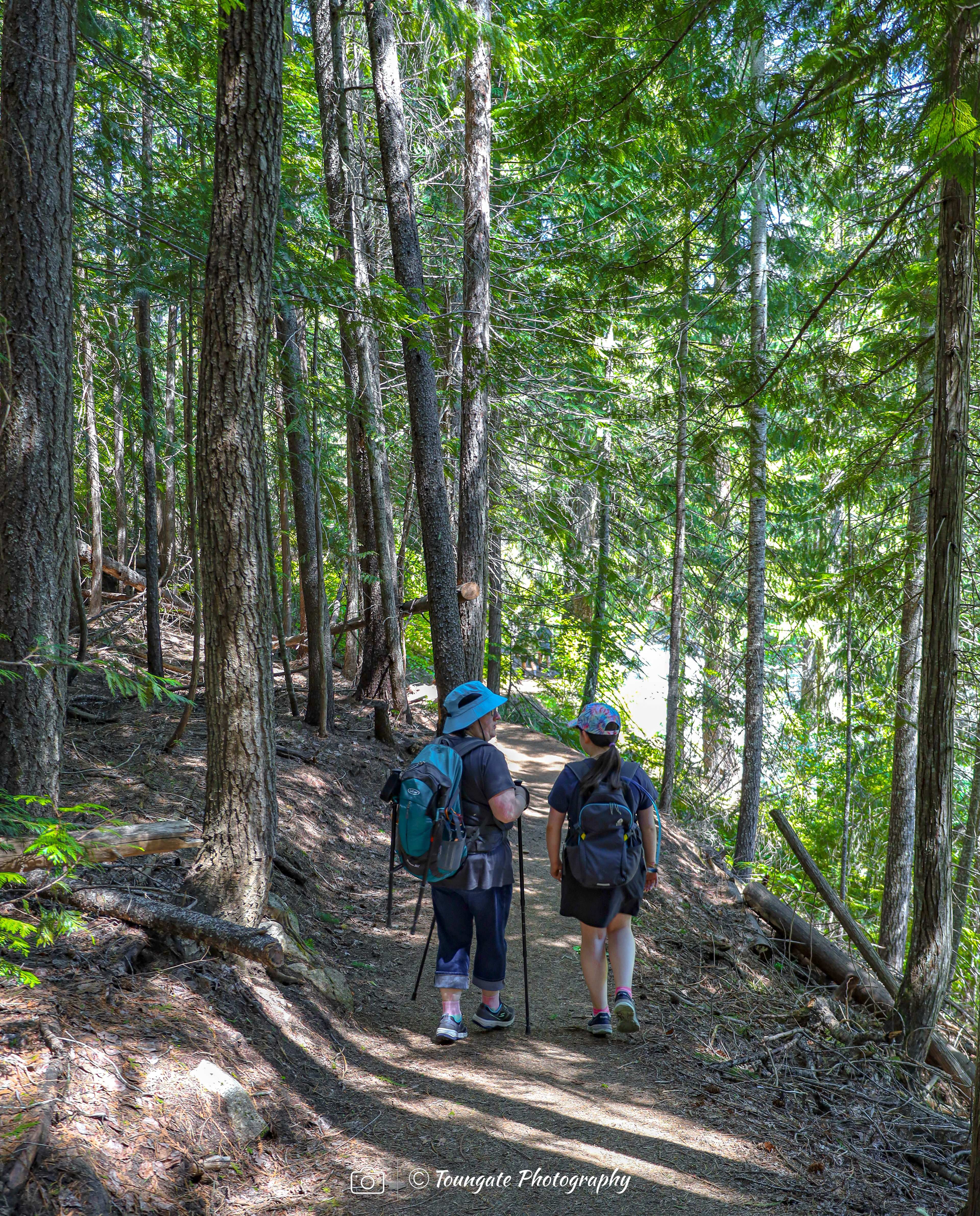 Icicle Gorge Trail