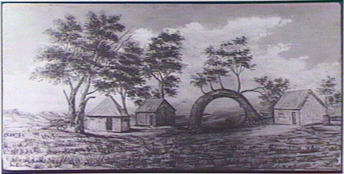 An oil painting 'Old Gum Tree at Glenelg' by Jack Balitho, showing three huts adjacent to the tree.