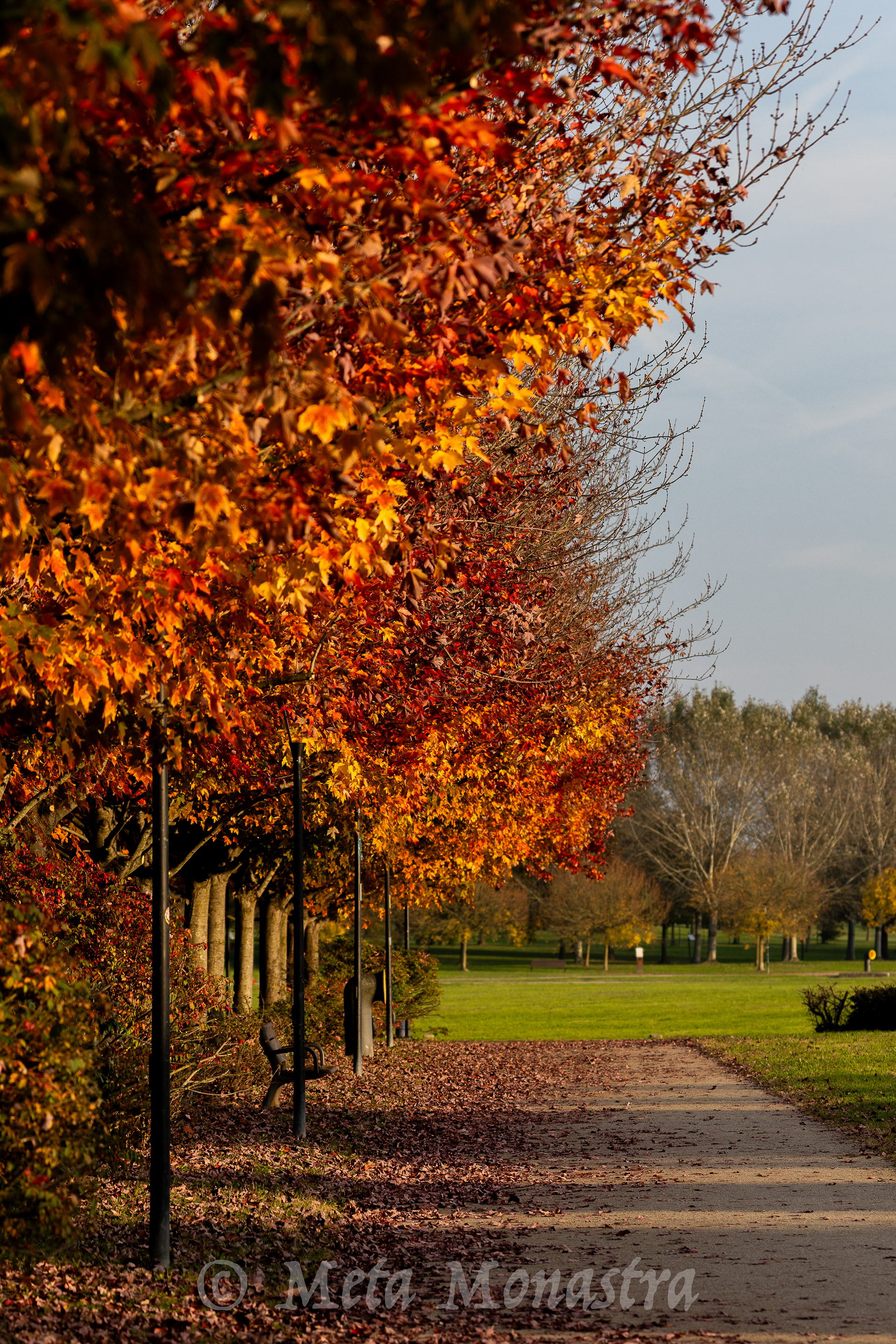 Autunno 2025