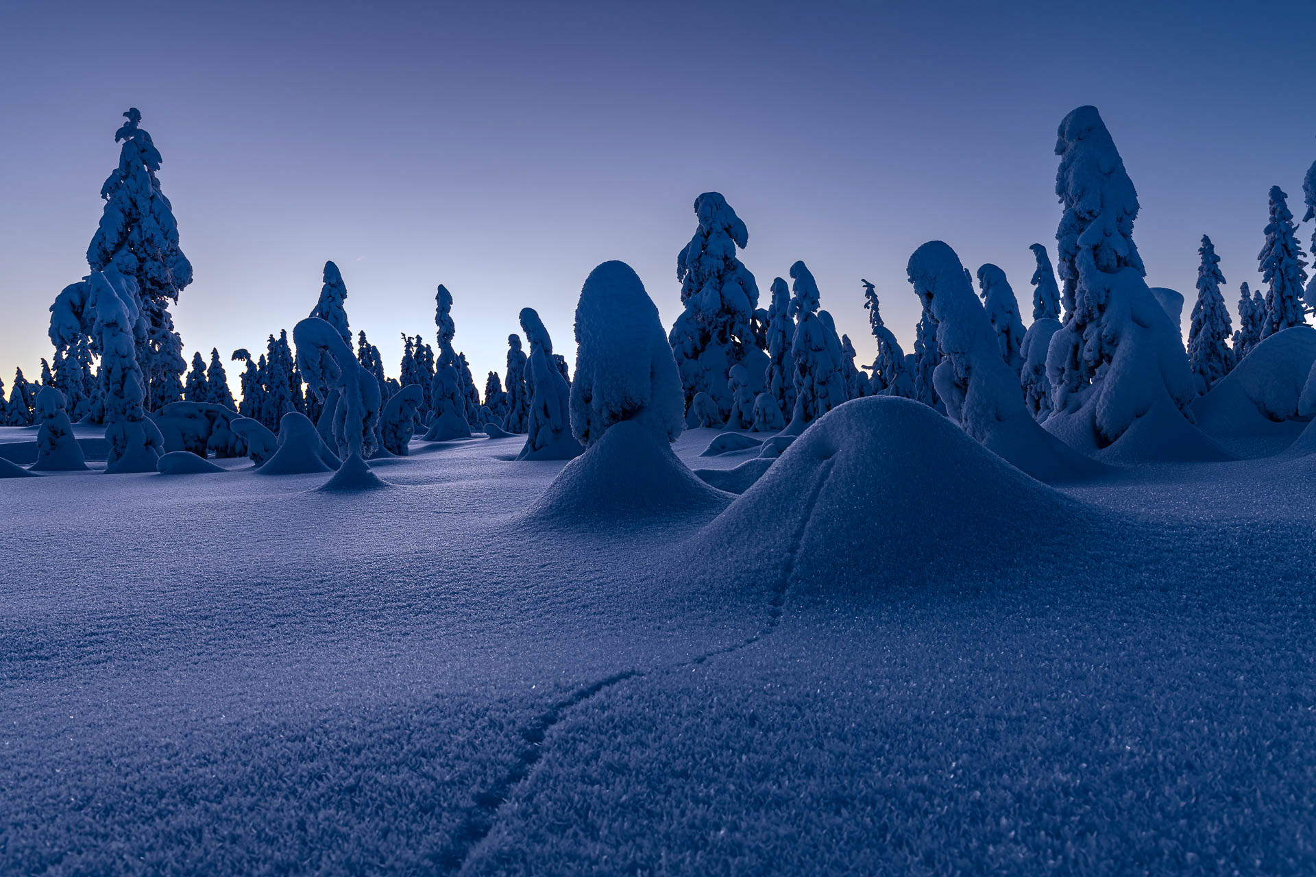 Winter - Nordmarka, Norway