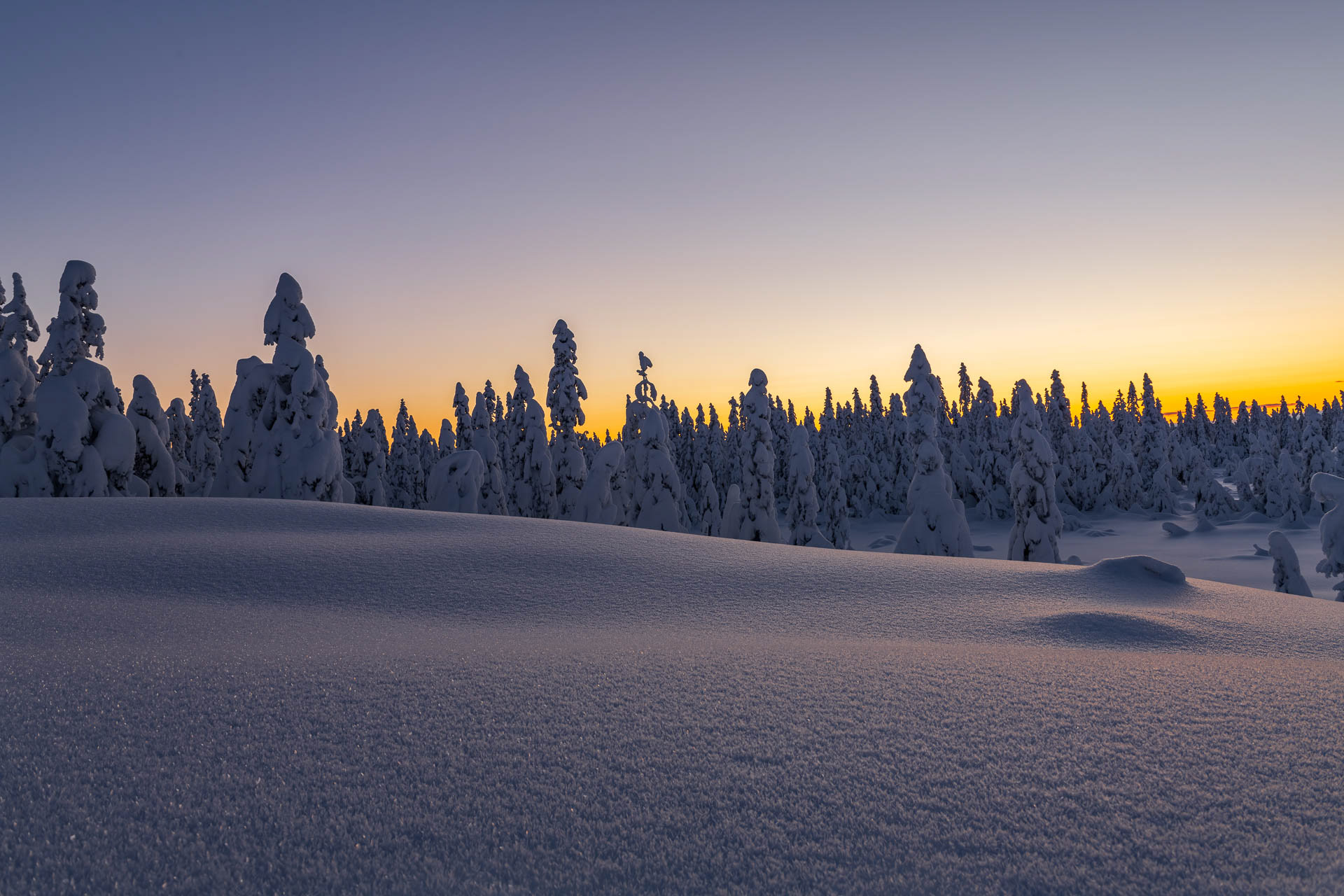 Winter - Nordmarka, Norway
