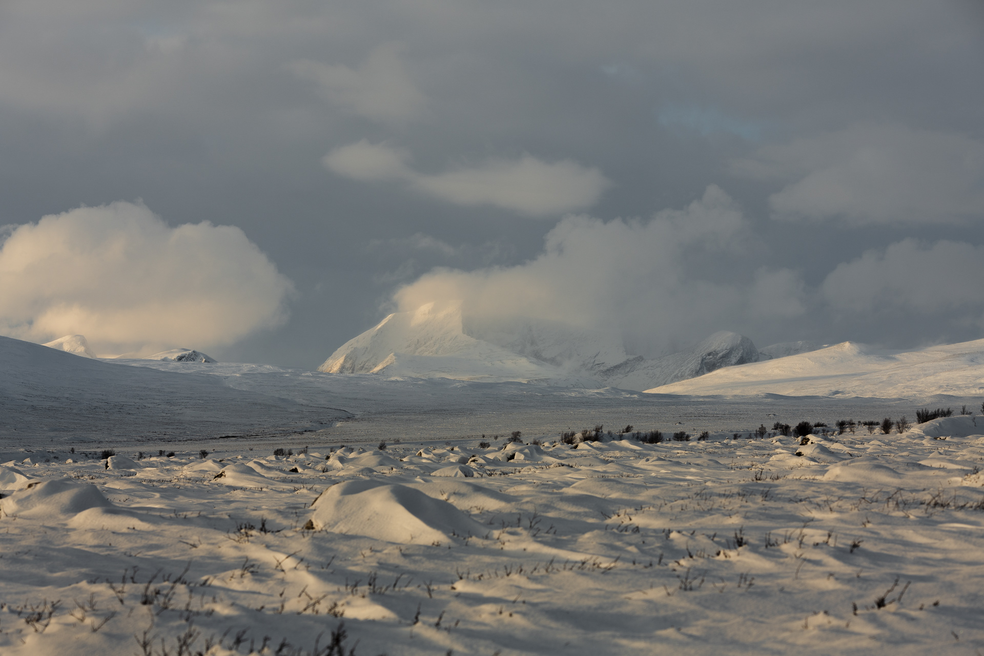 Dovre Plateau- Norway