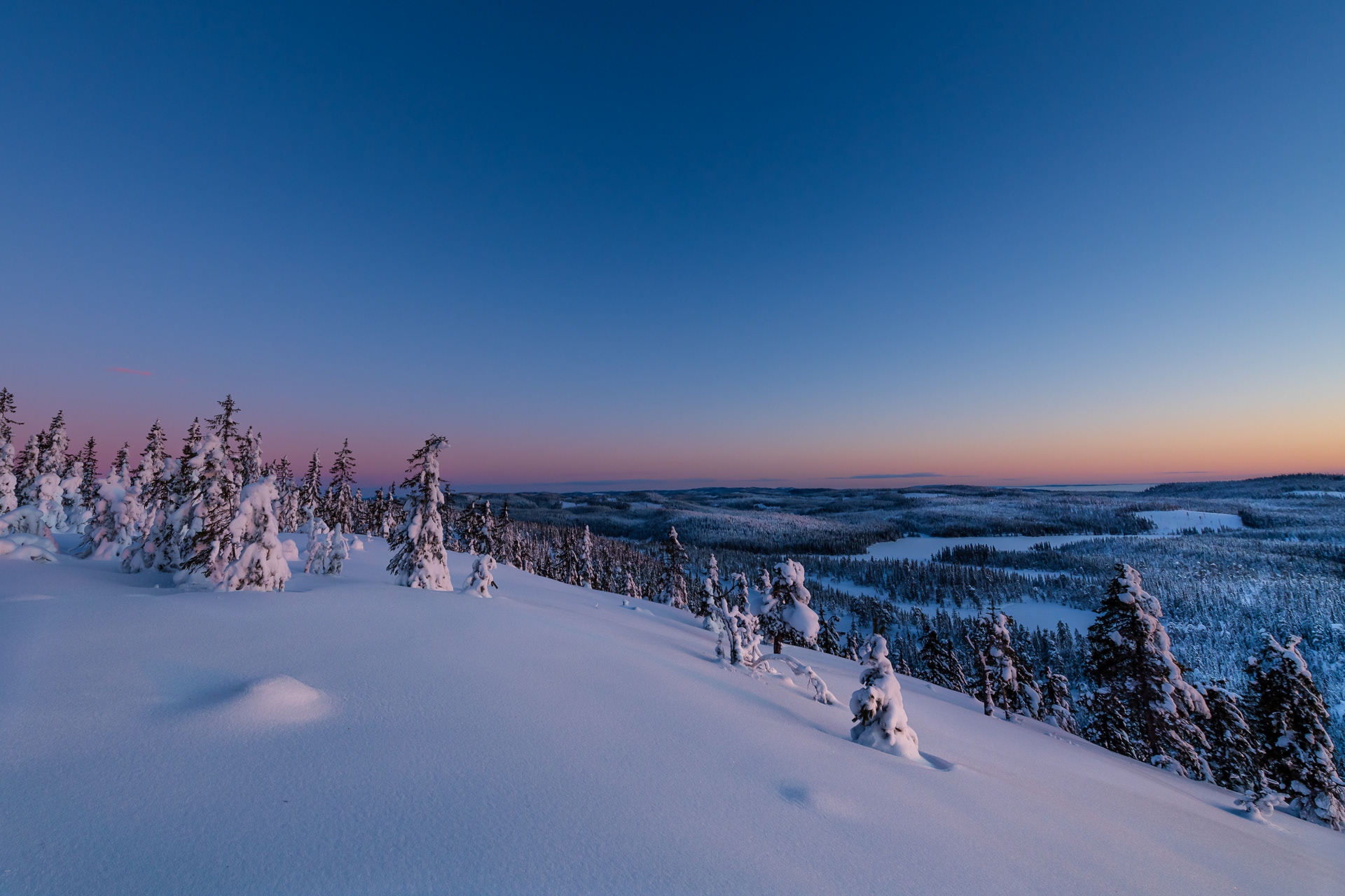 Winter - Romeriksåsen, Nittedal, Norway