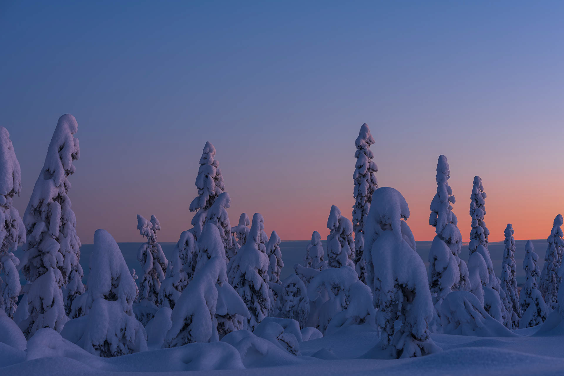 Winter - Nordmarka, Norway