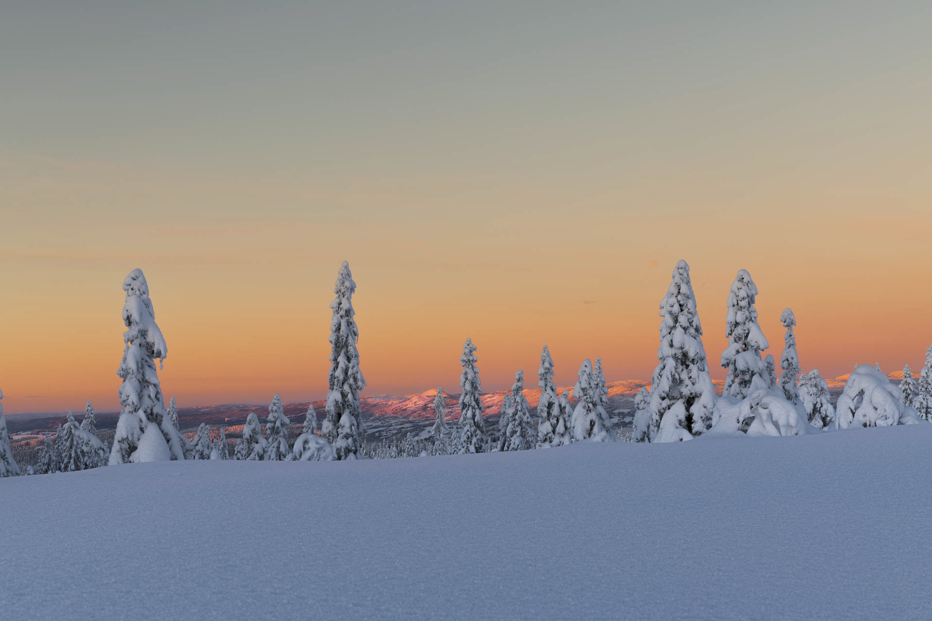 Winter - Nordmarka, Norway