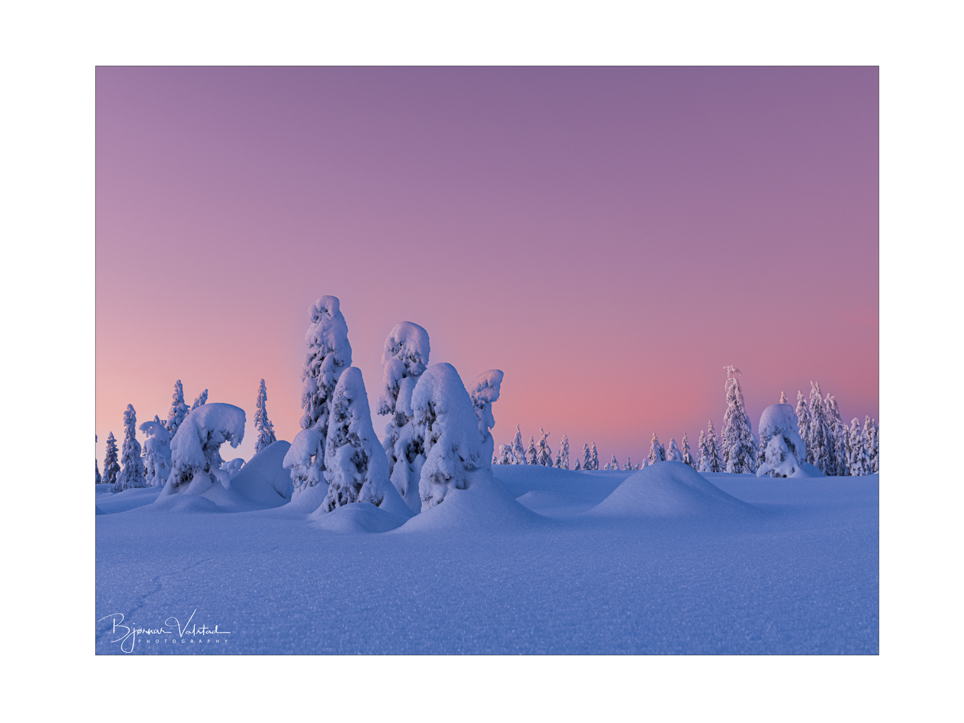 Winter - Nordmarka, Norway