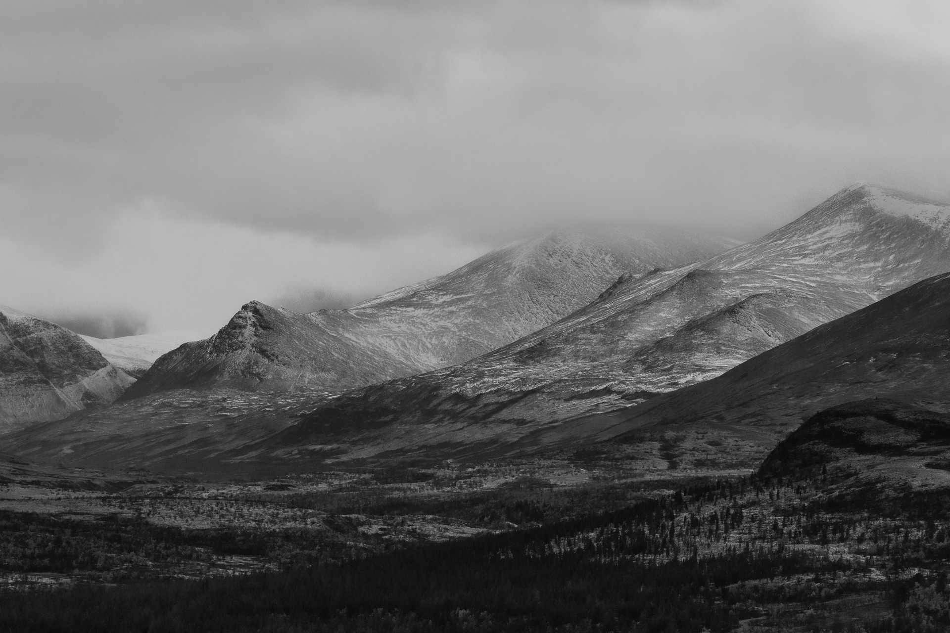 Stygghøene - Rondane Norway