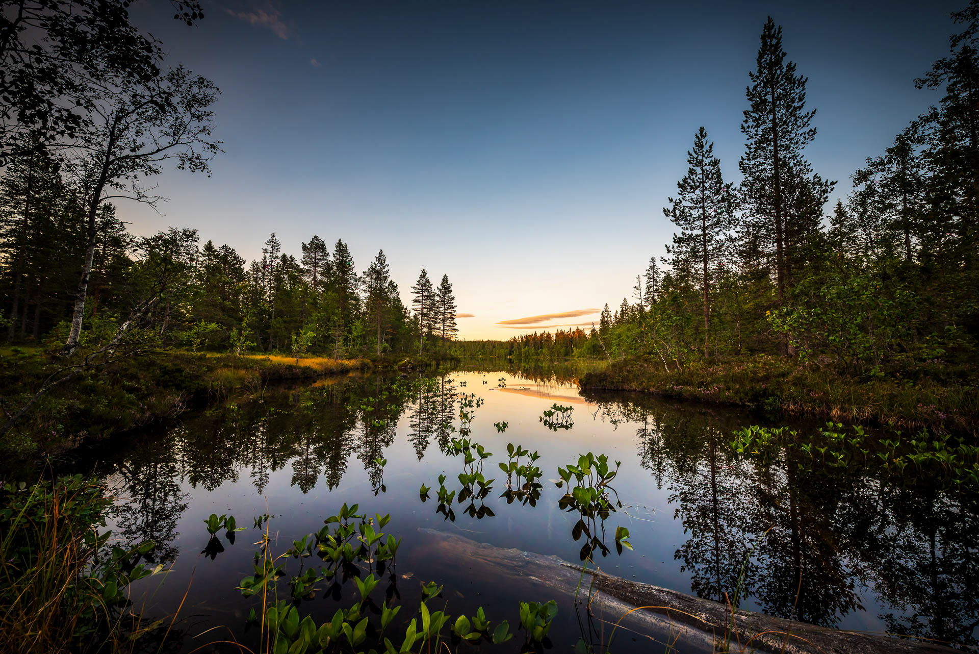 Autumn - Romeriksåsen, Norway