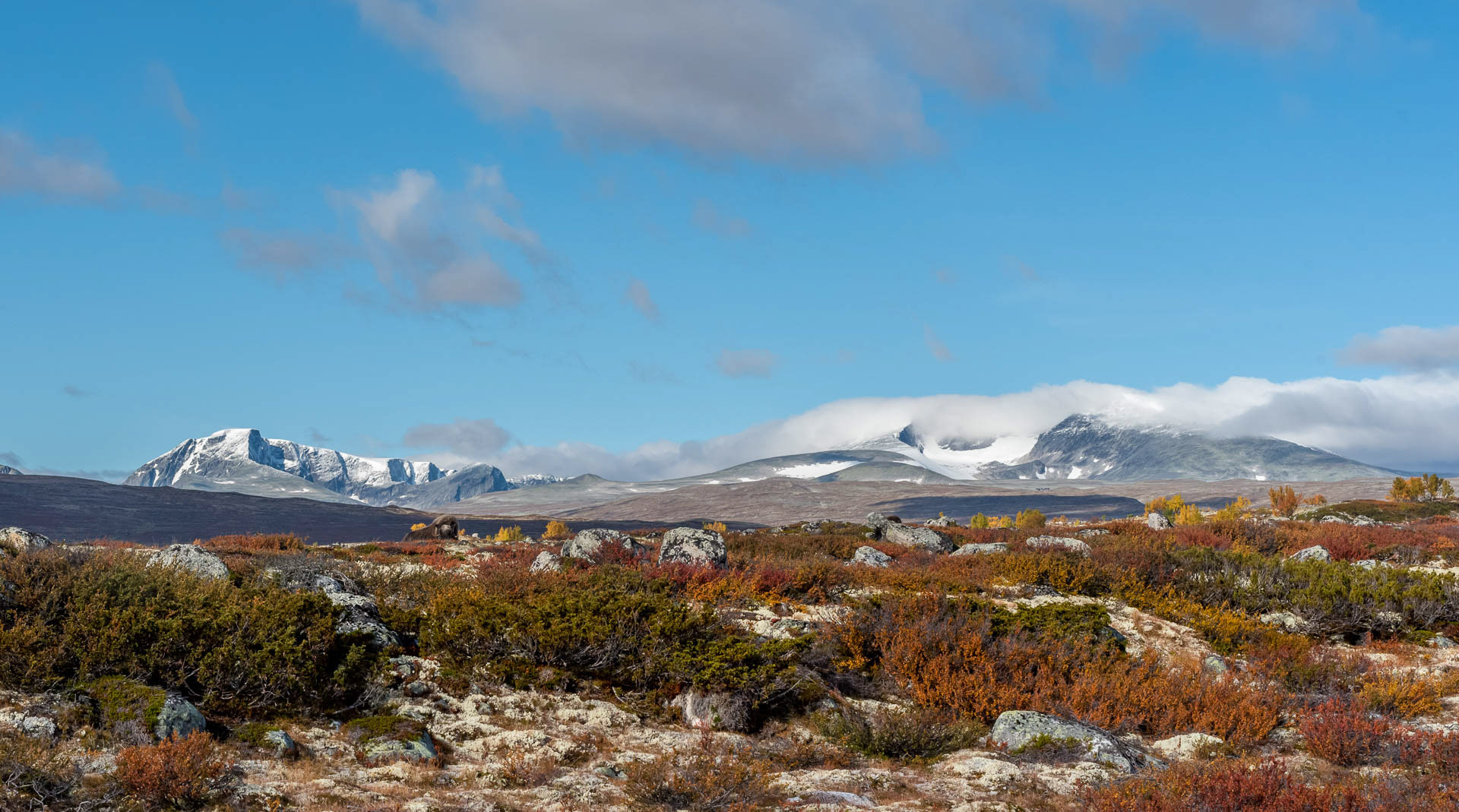Dovreplatået, Norway