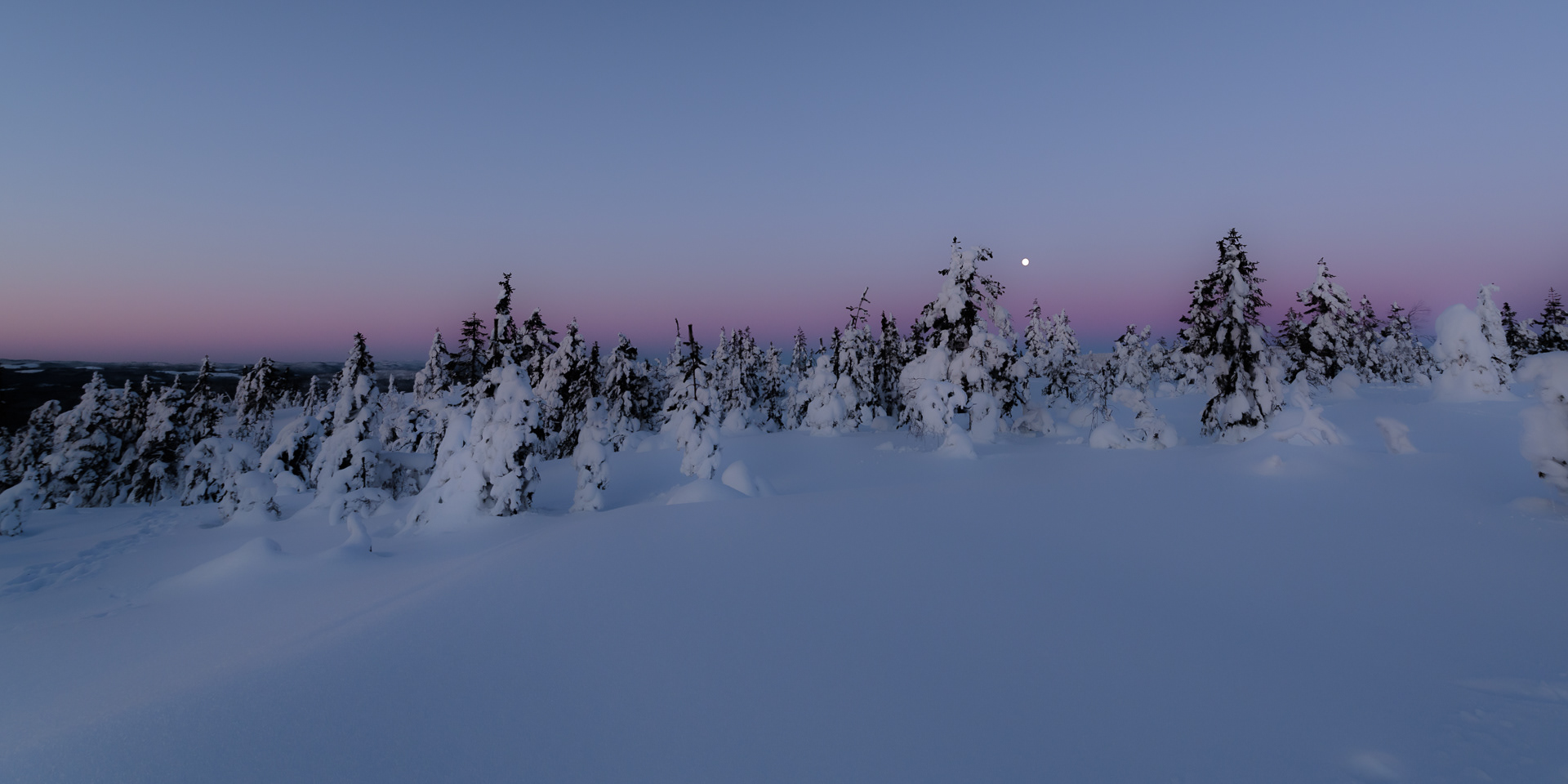Winter - Romeriksåsen, Nittedal, Norway