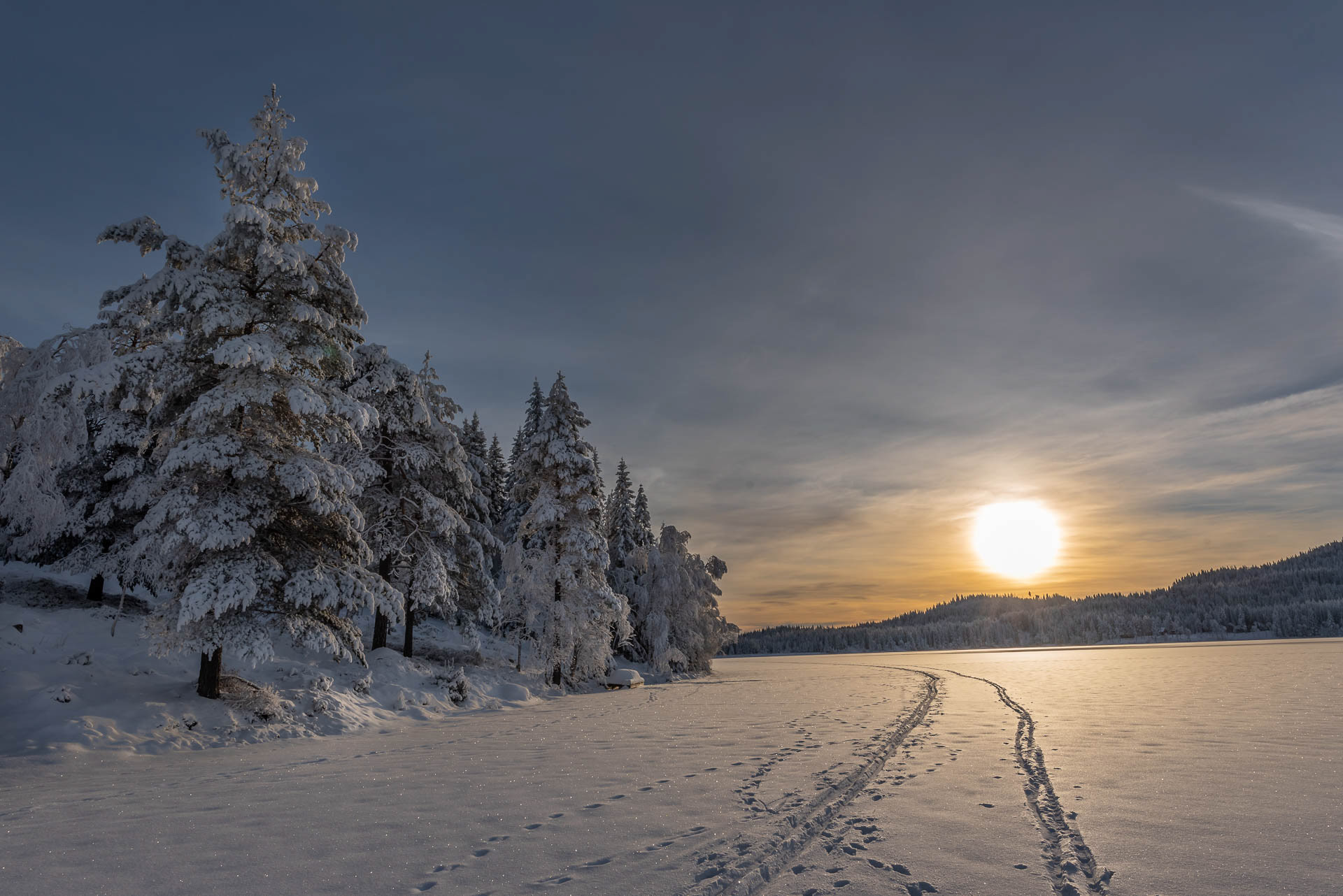 Winter- Ørfiske, Nittedal, Norway 