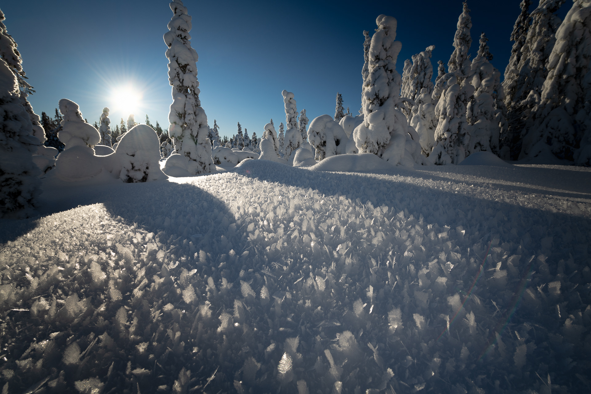 Winter - Romeriksåsen, Nittedal, Norway