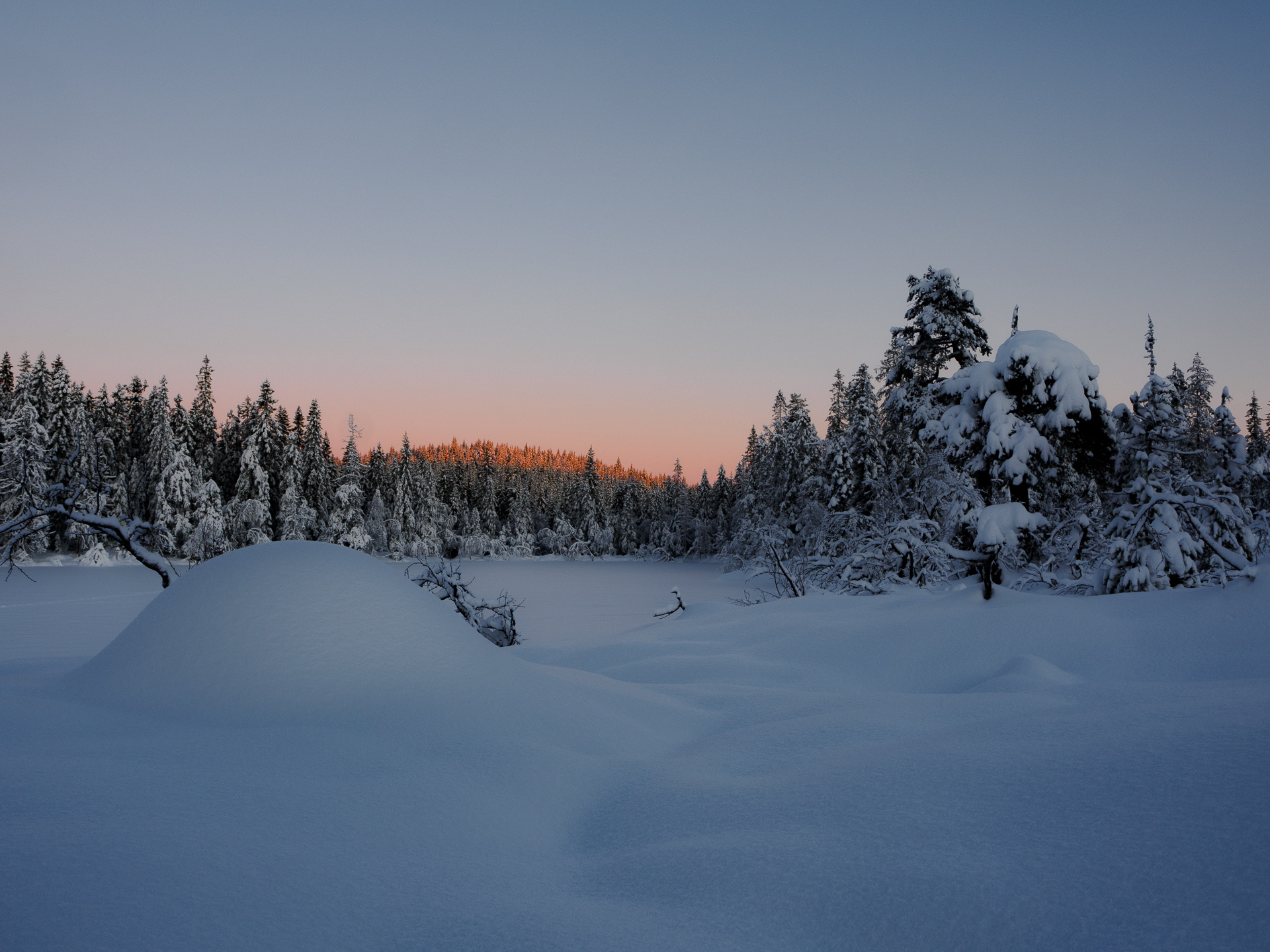Blekktjernshøgda, Romeriksåsen - Nittedal, Norway