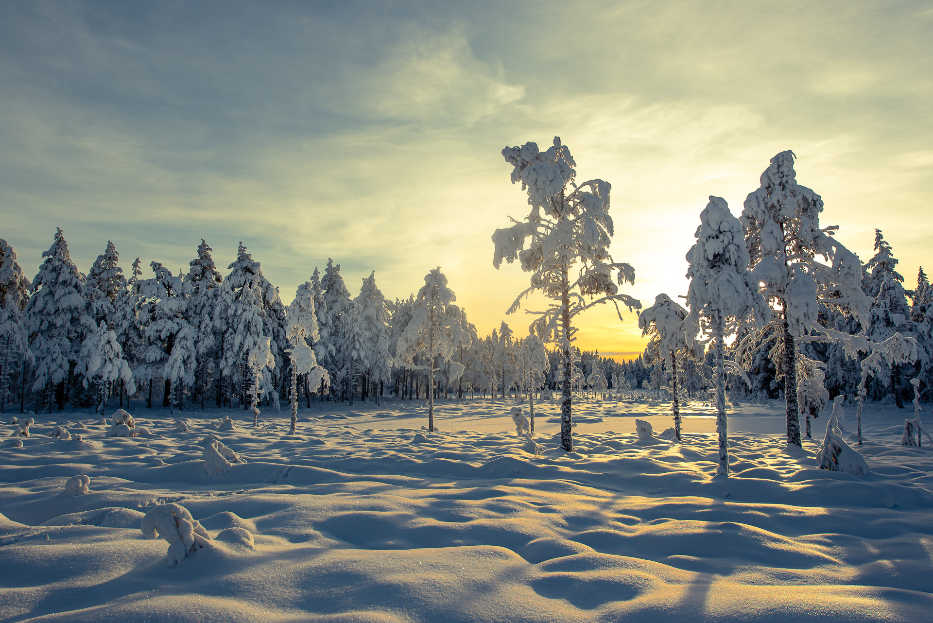 Winter - Nordmarka, Nittedal, Norway