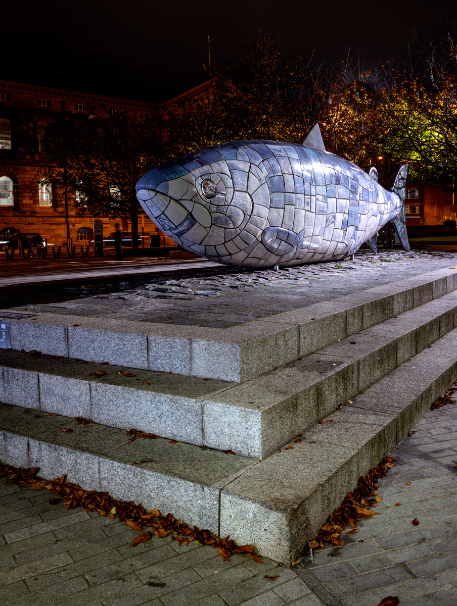 The Fish