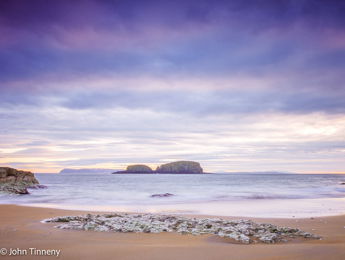Sheep Island I