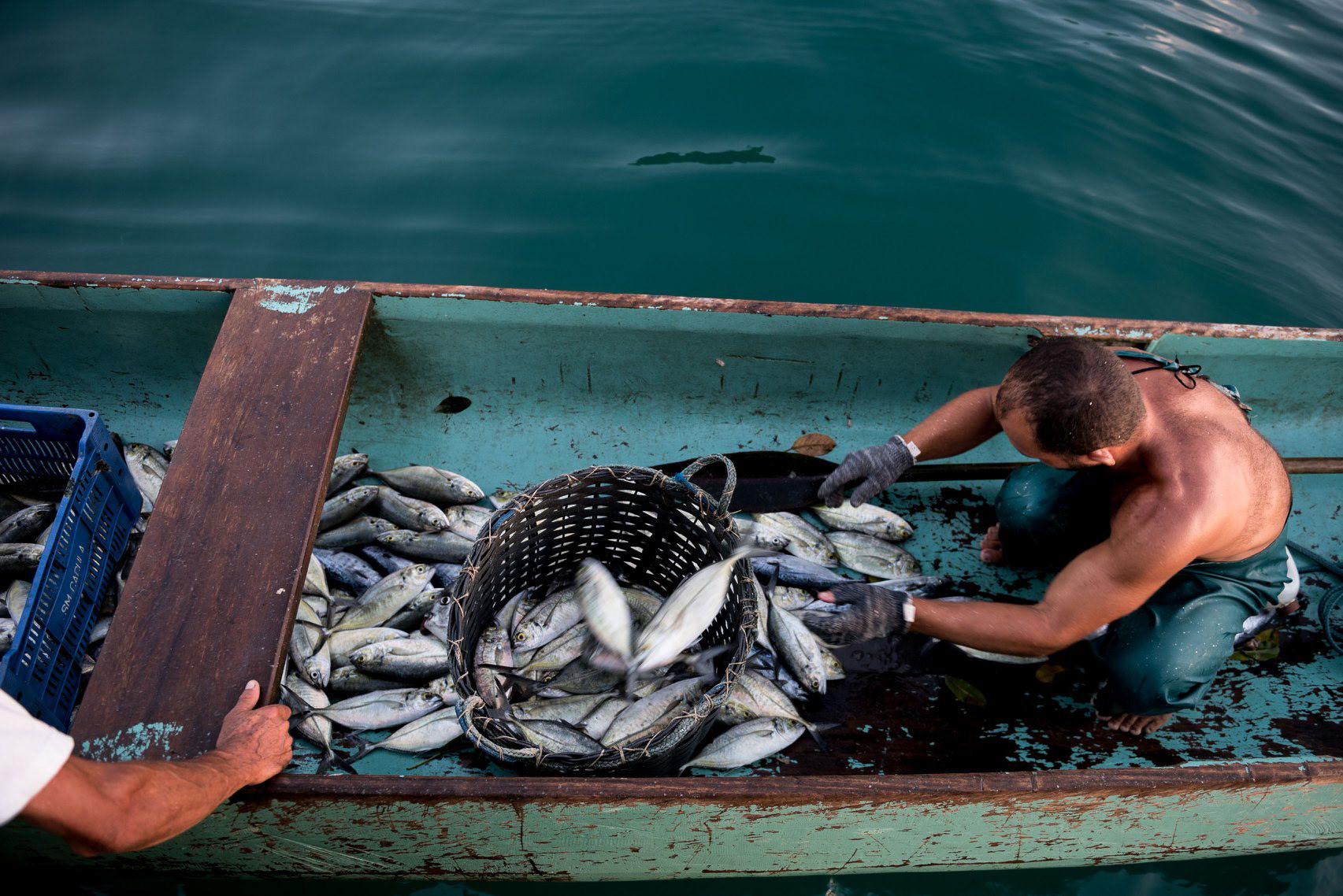 Documentary Photography