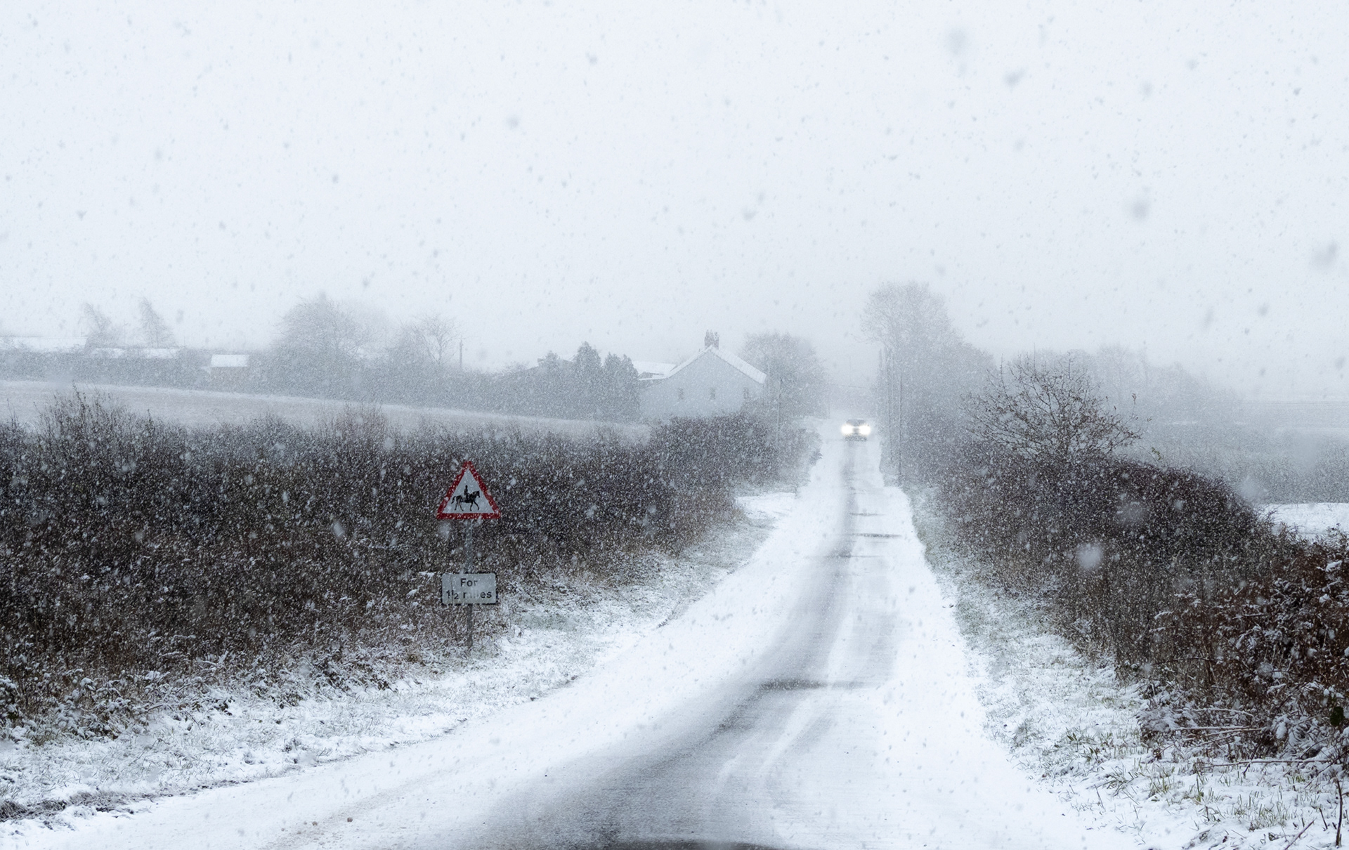 Snowy Drive