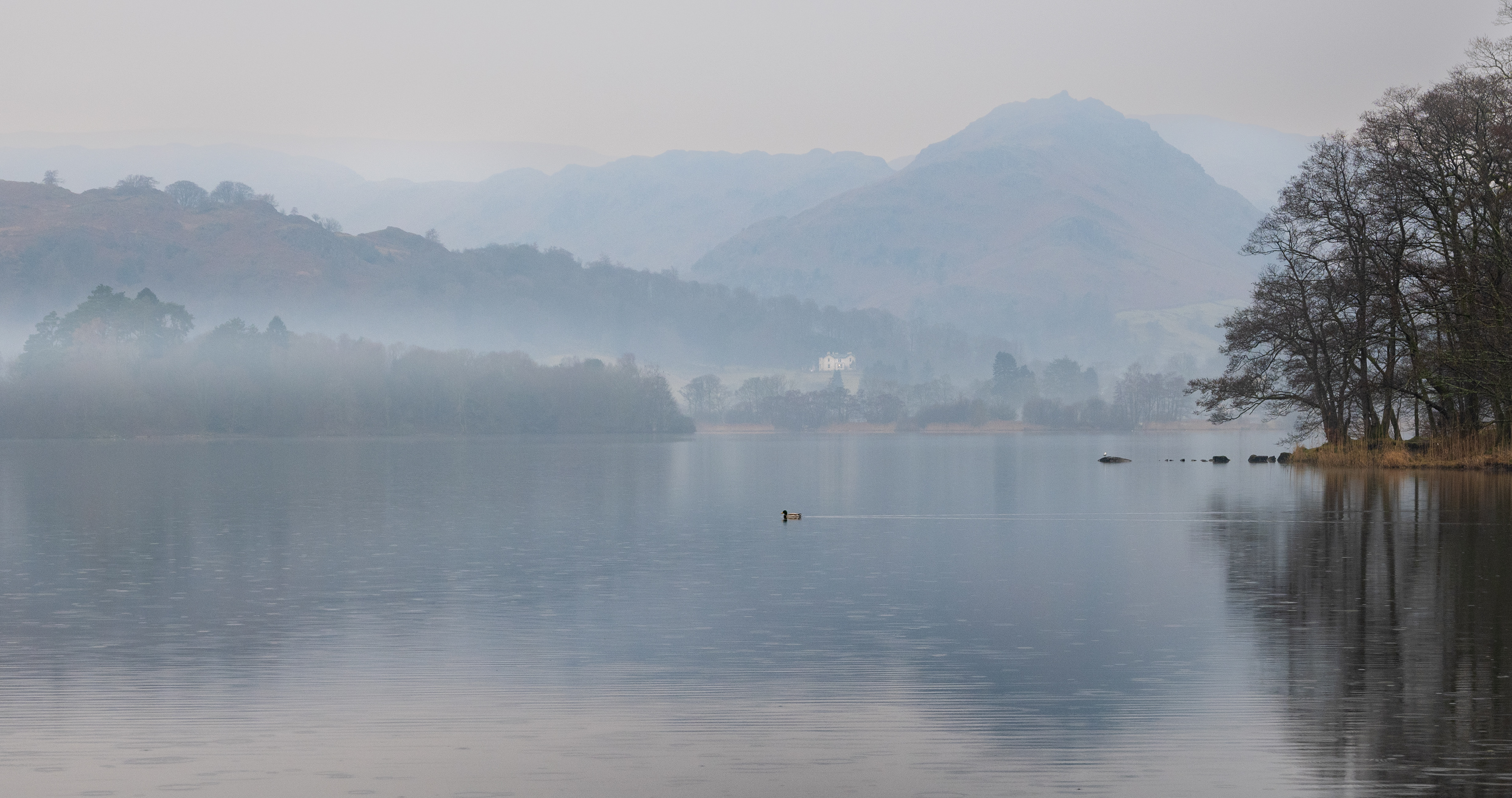 Misty Morning at Grasmere