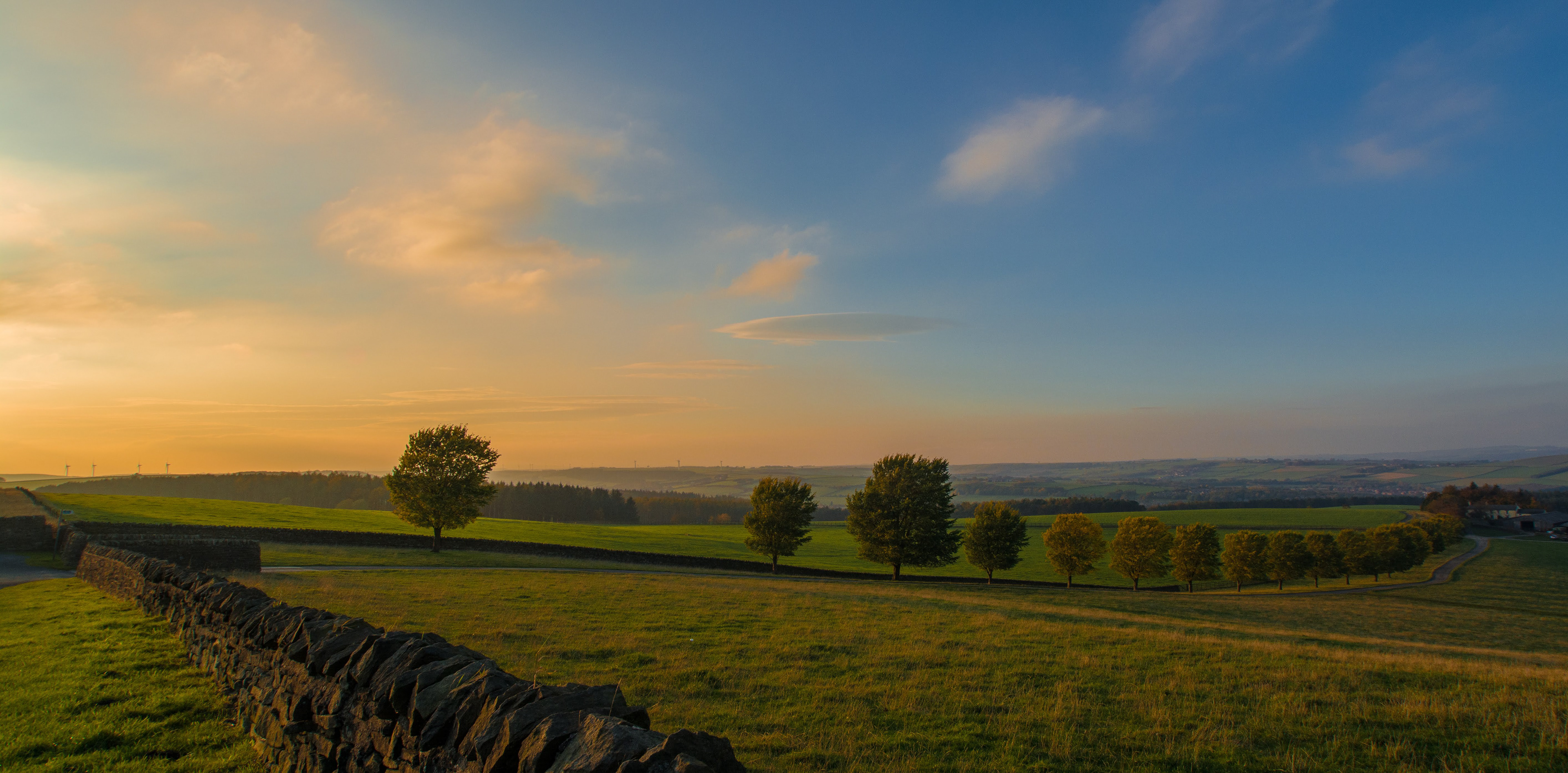 A County Durham Field