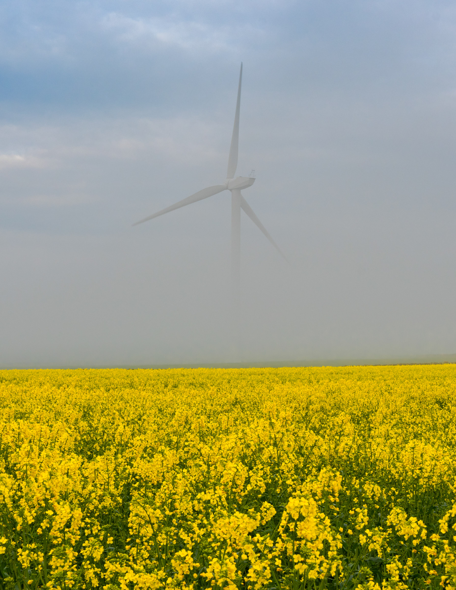 Tow Law Turbine