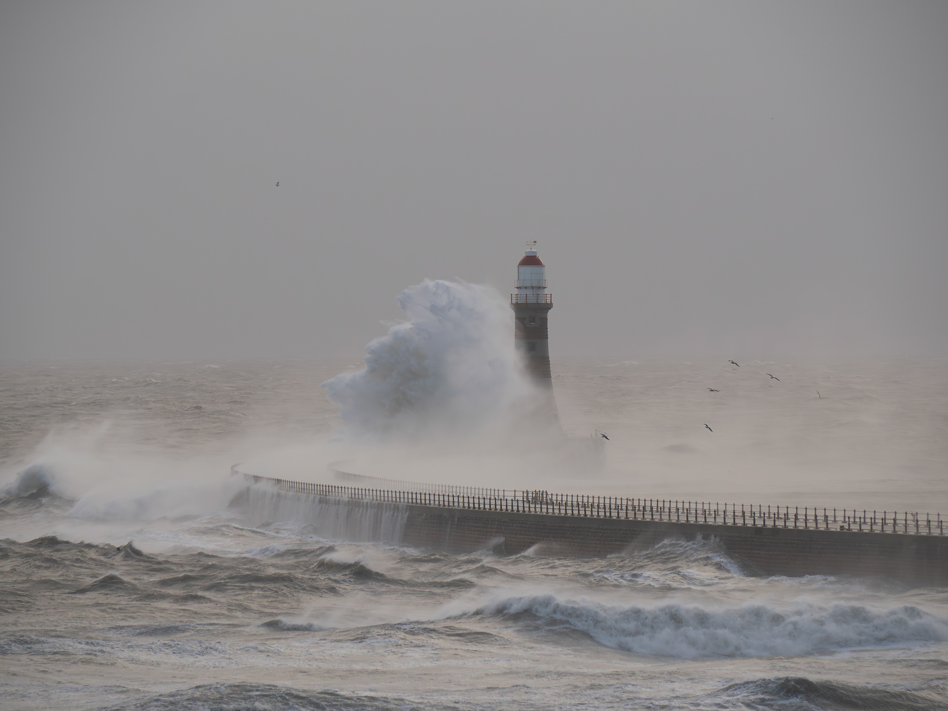 Roker Waves