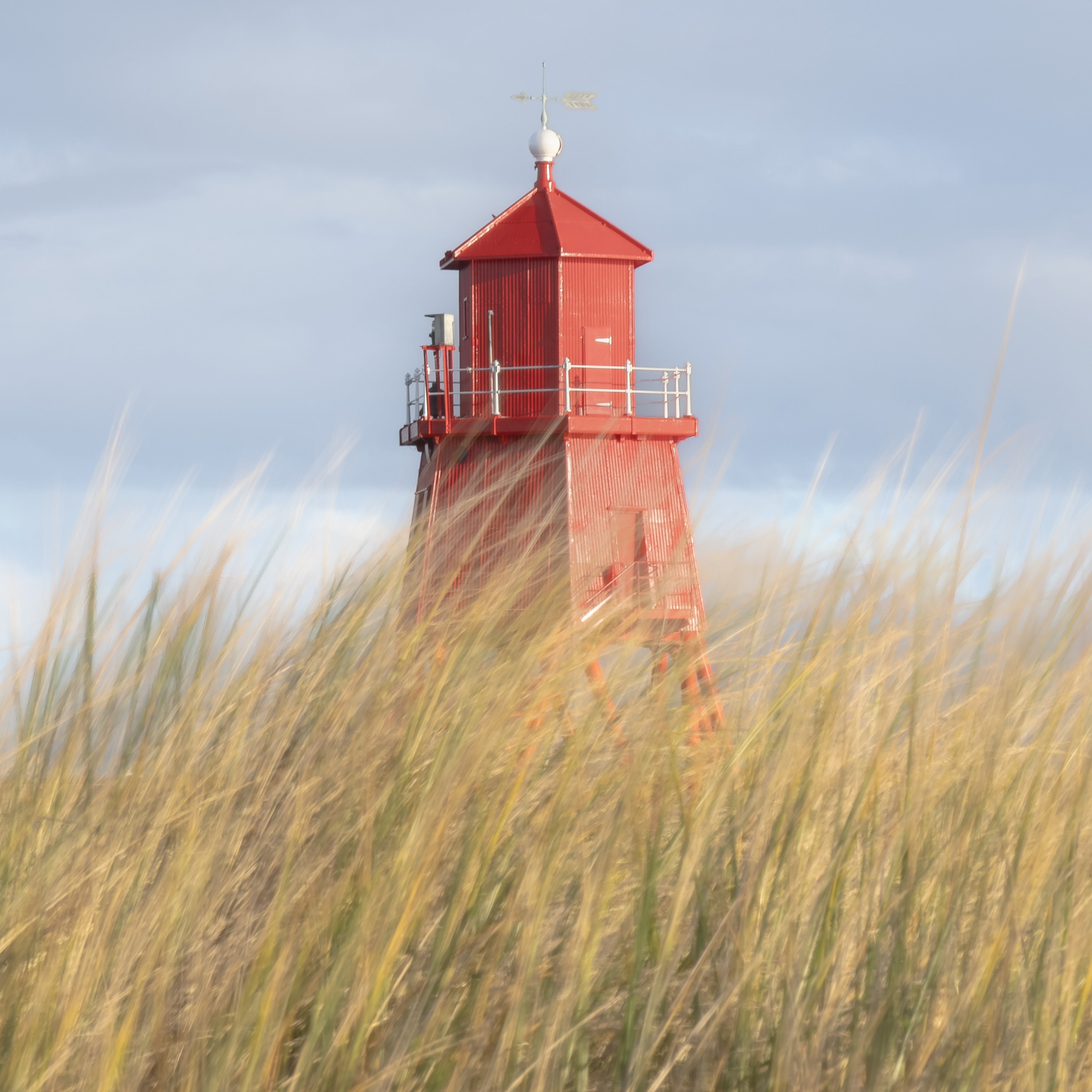 Herd Groyne