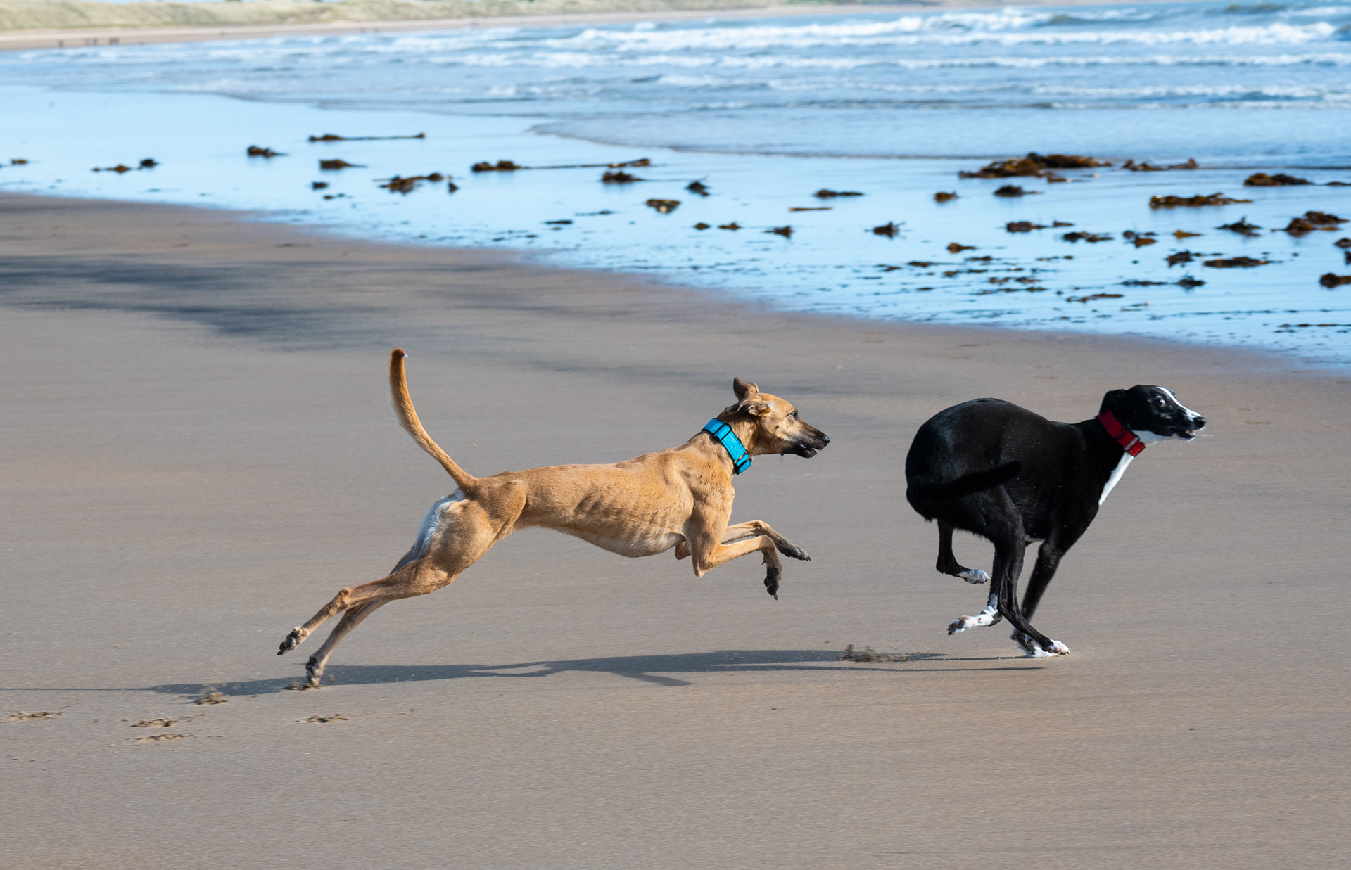 The Chase