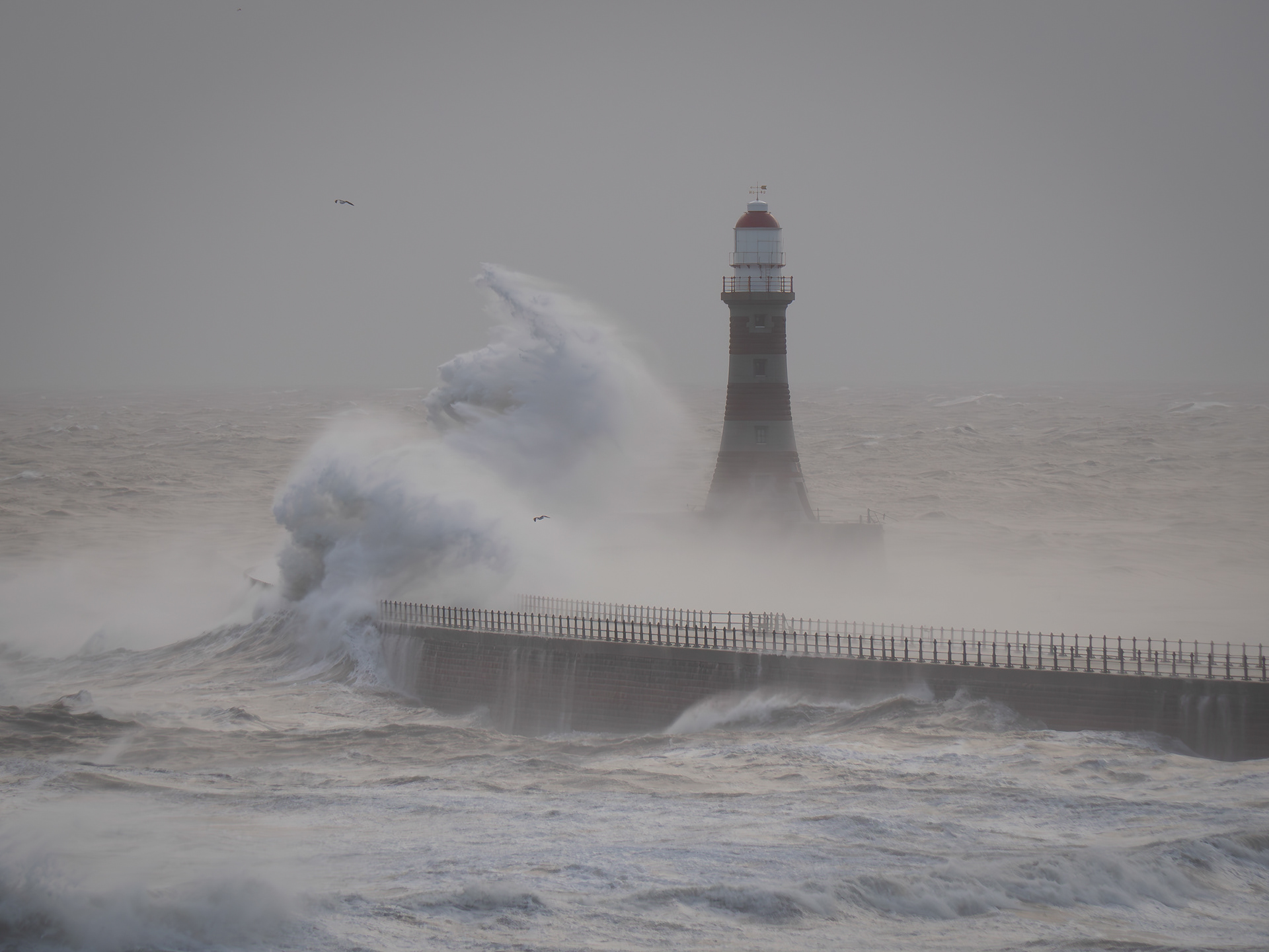 Roker Waves