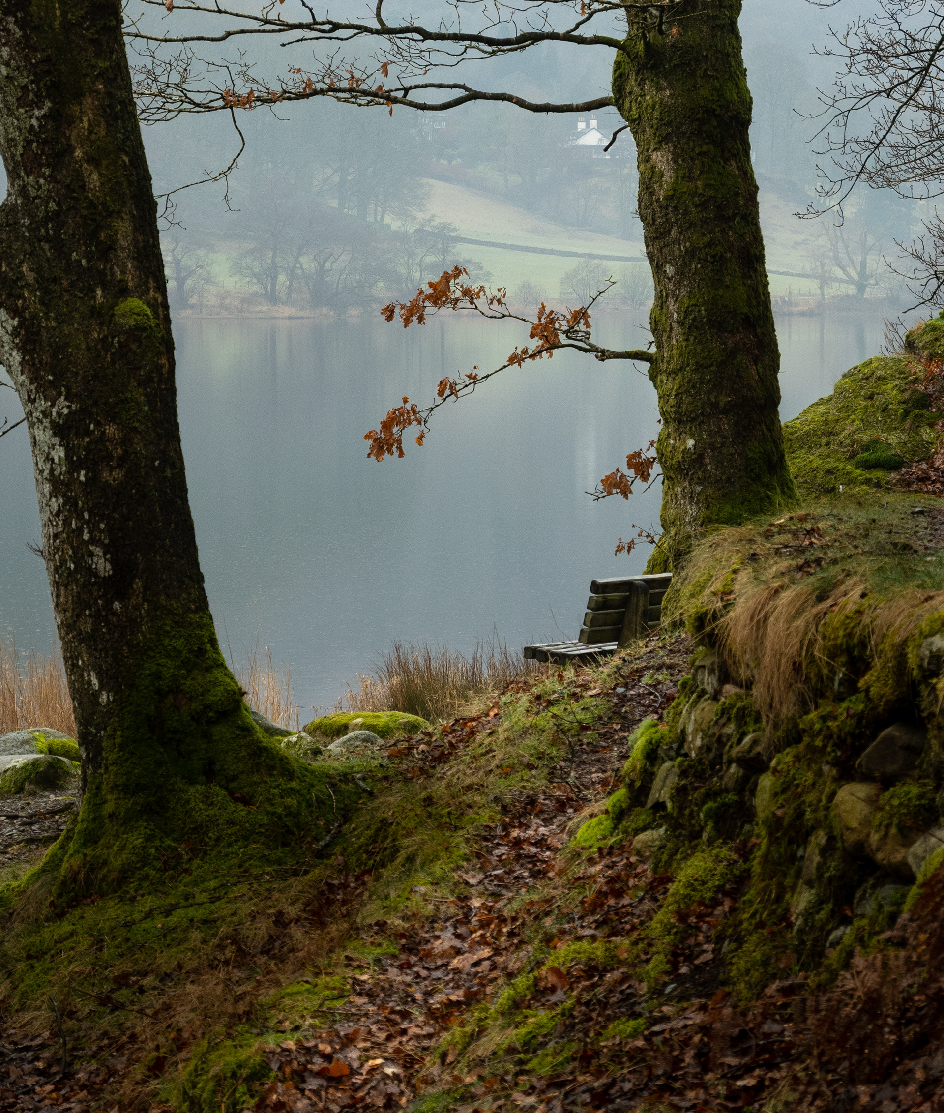 Grasmere Bench