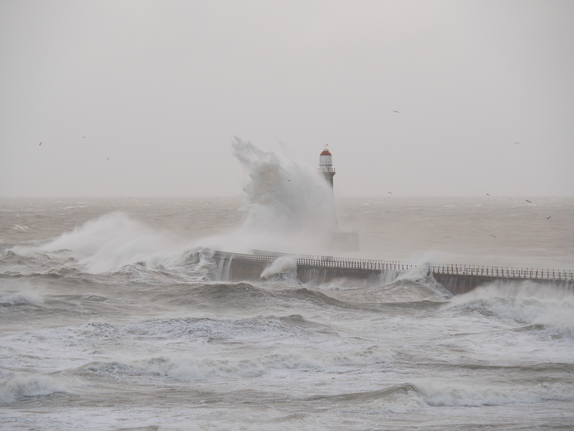 Roker Waves