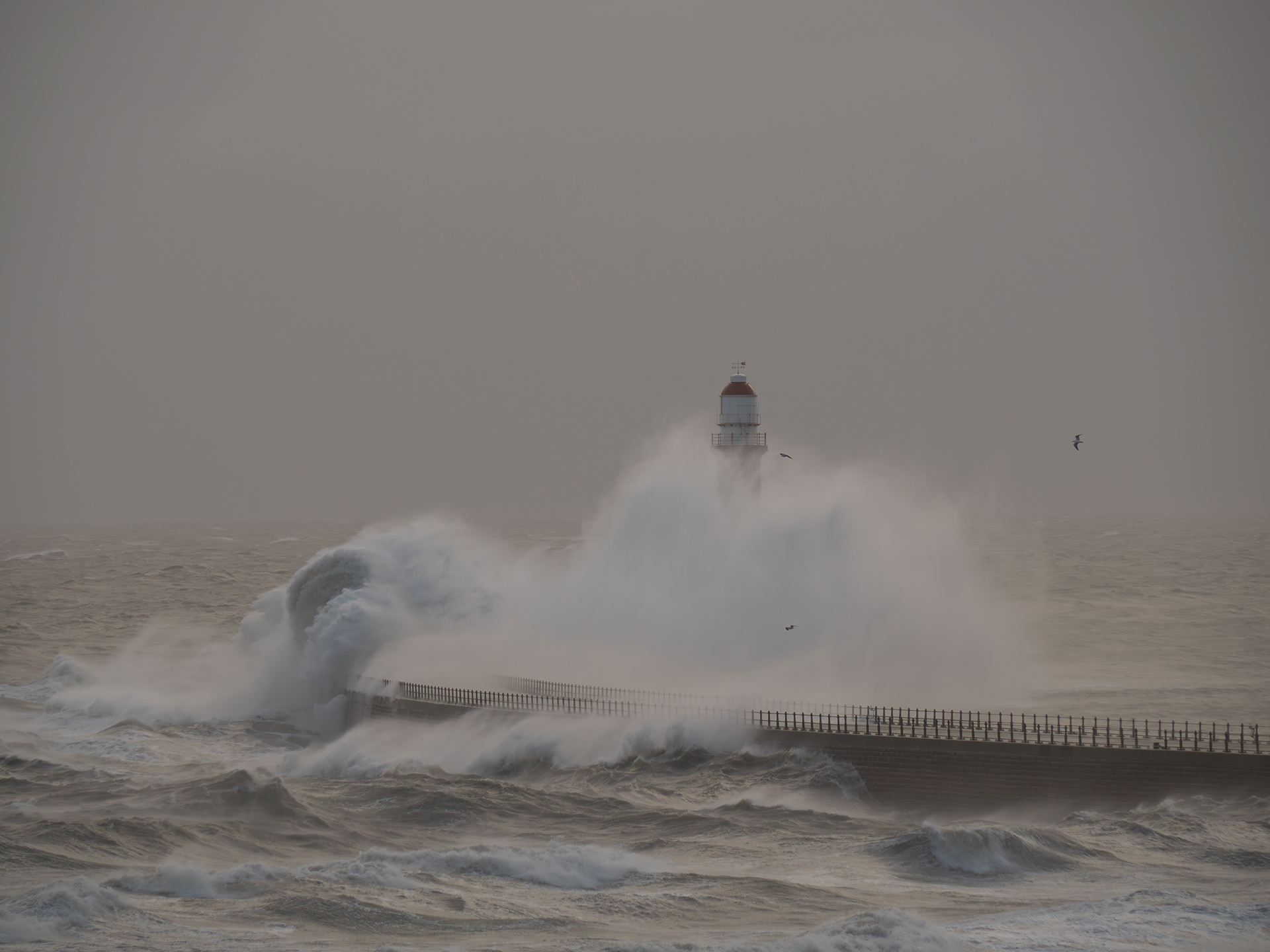 Roker Waves