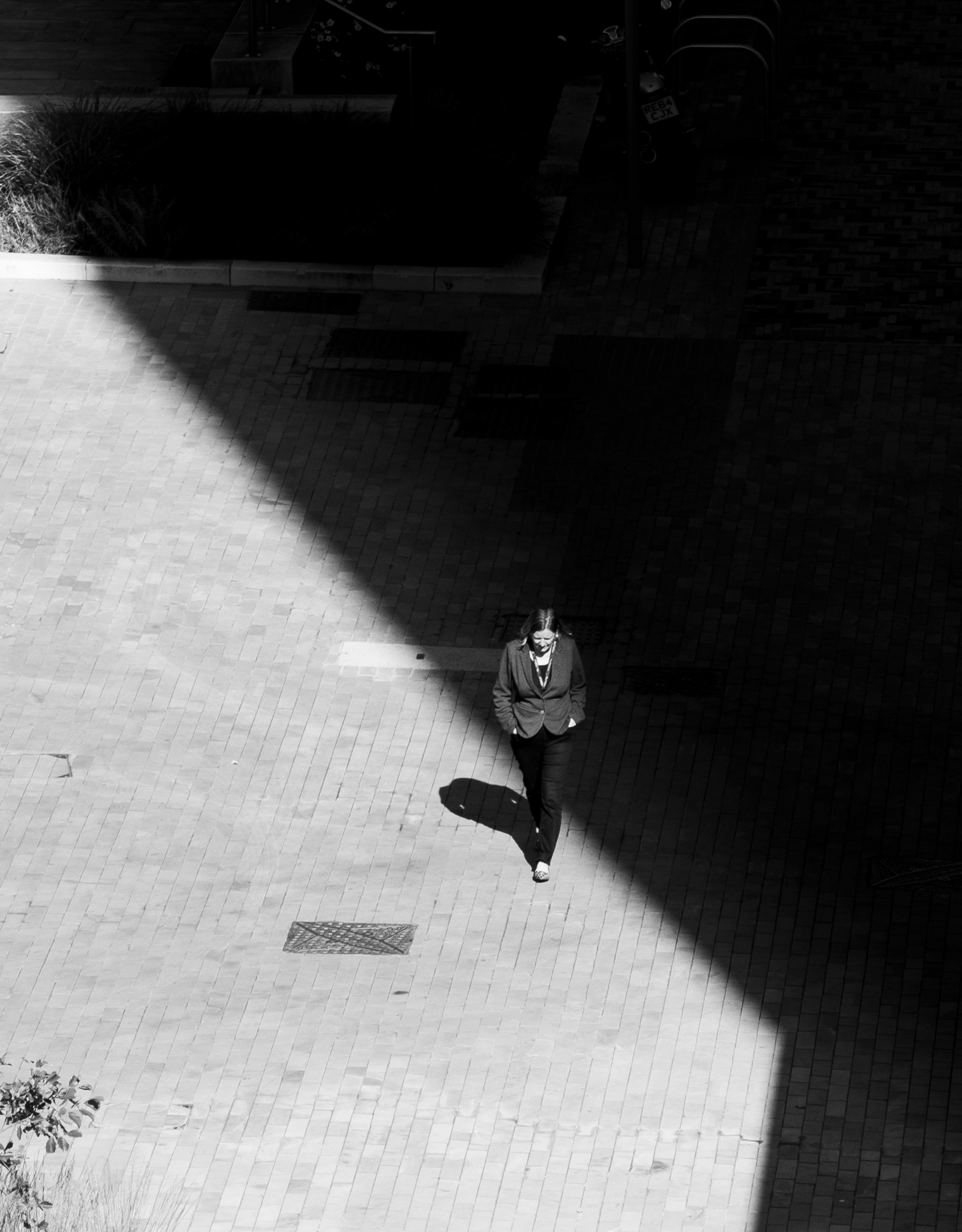Into the Light