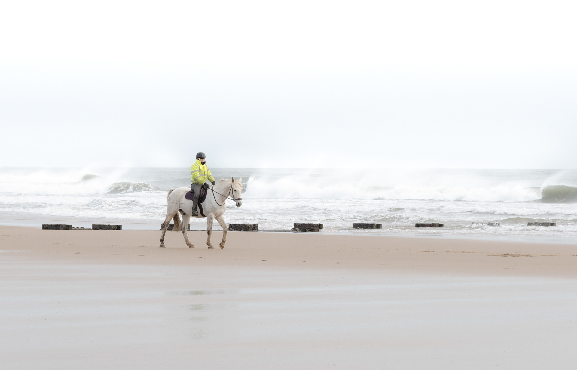 White water, white horse