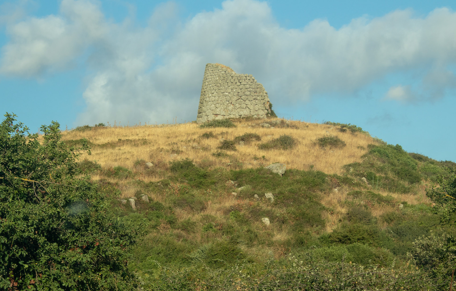 IMG_4514.jpg