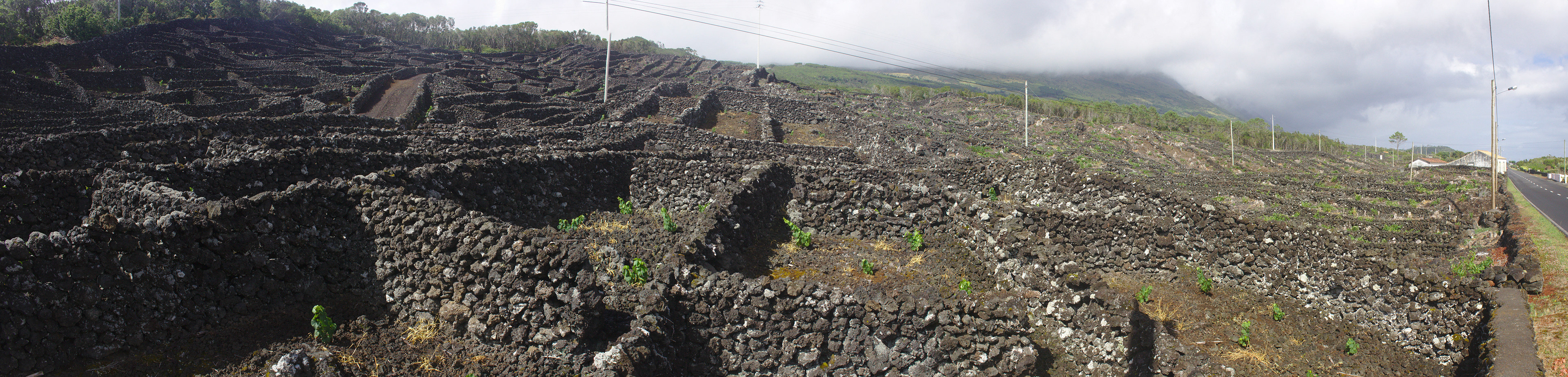 IMG_6367 - IMG_6371.jpg