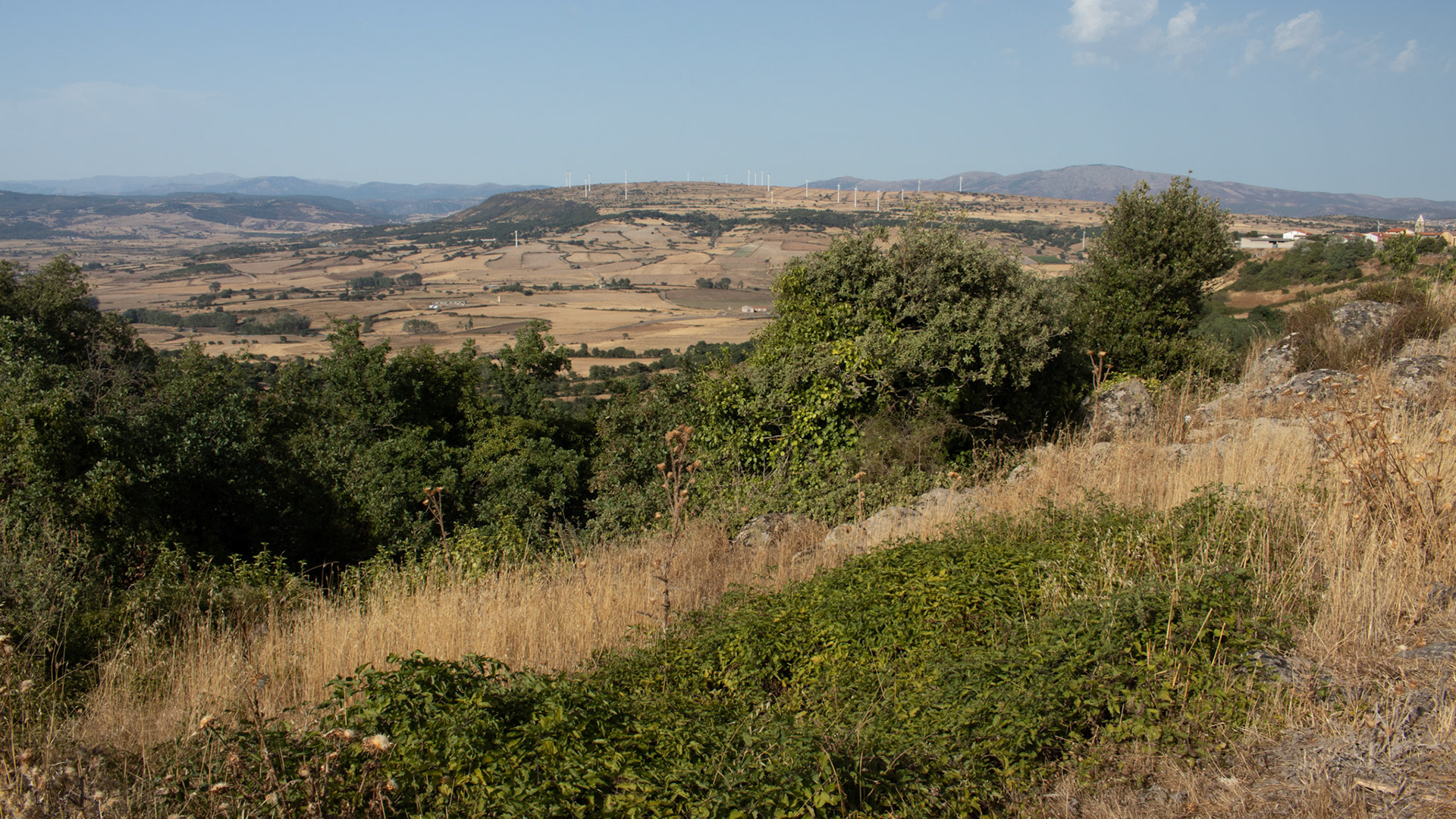 IMG_5079.jpg