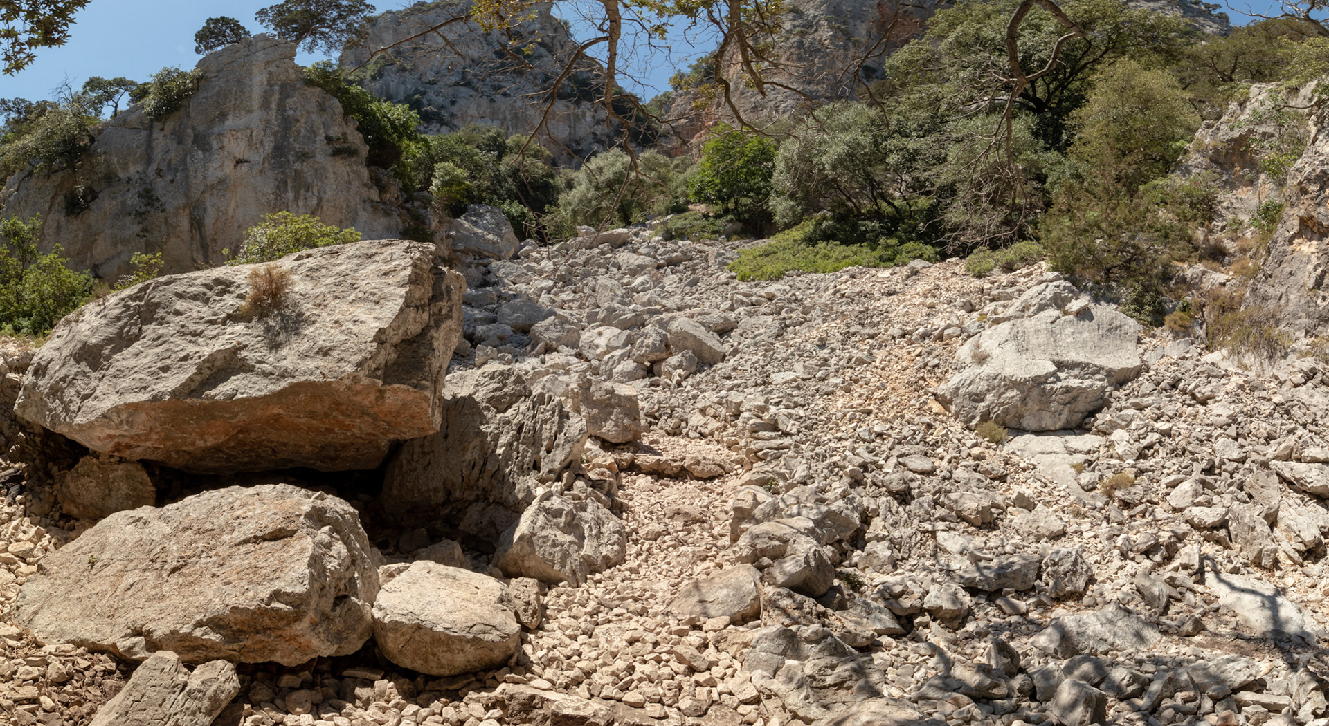 IMG_5491-Pano.jpg