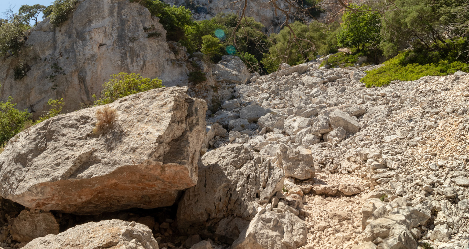 IMG_5485-Pano.jpg