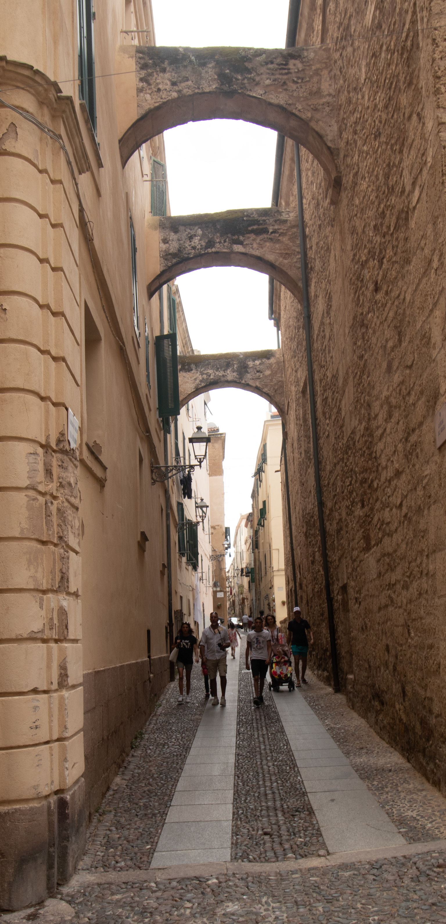 IMG_4399.jpg