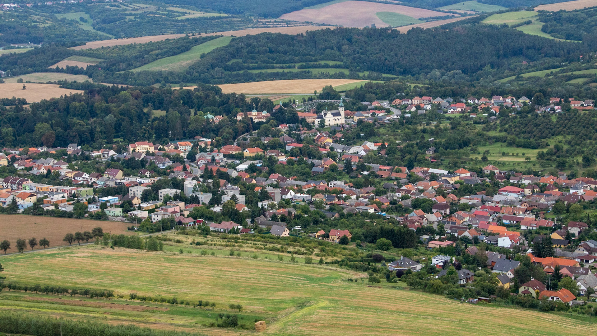 _MG_5585.jpg